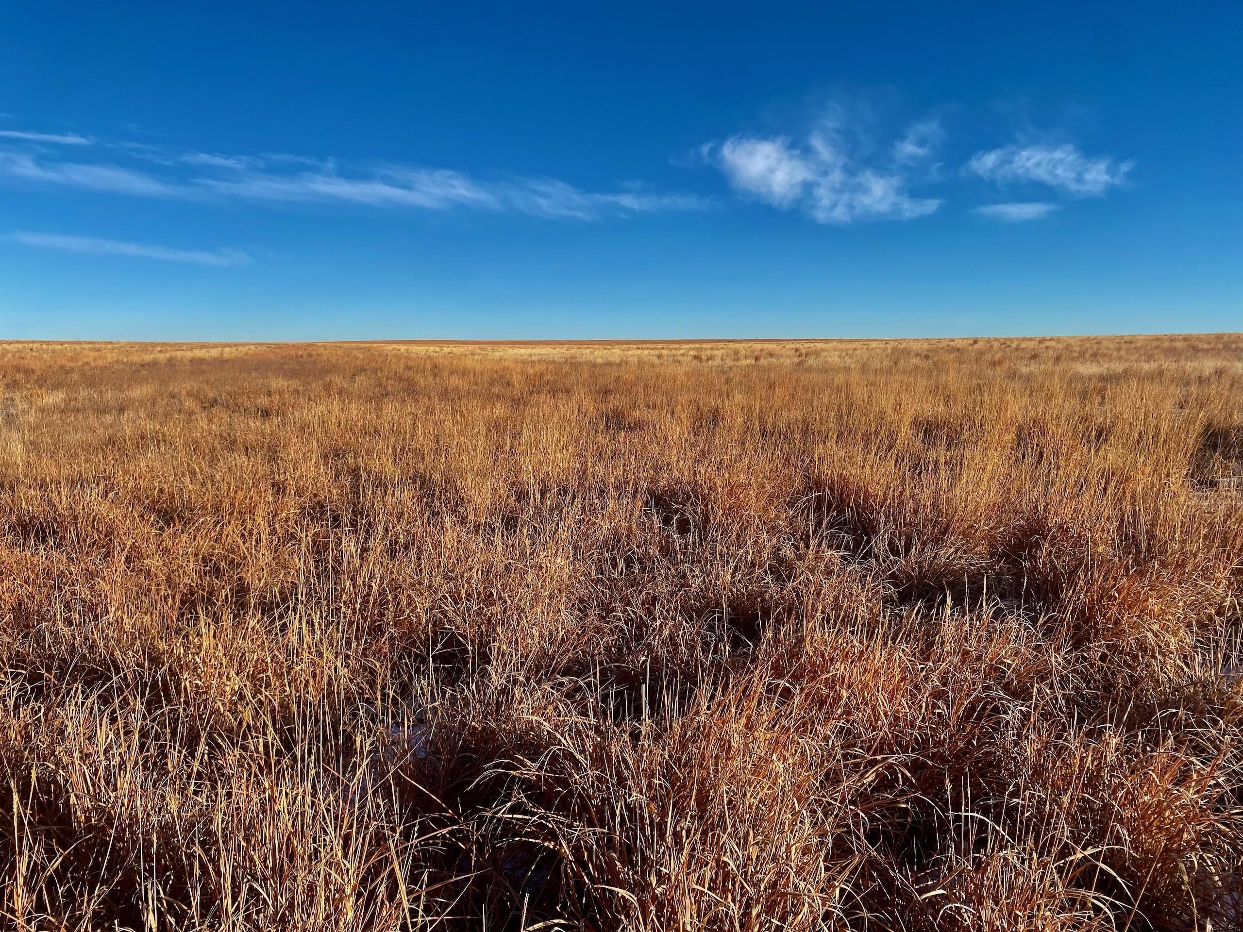 County Road 8 Lot Wp001, Coolidge, KS 67836 LandWatch