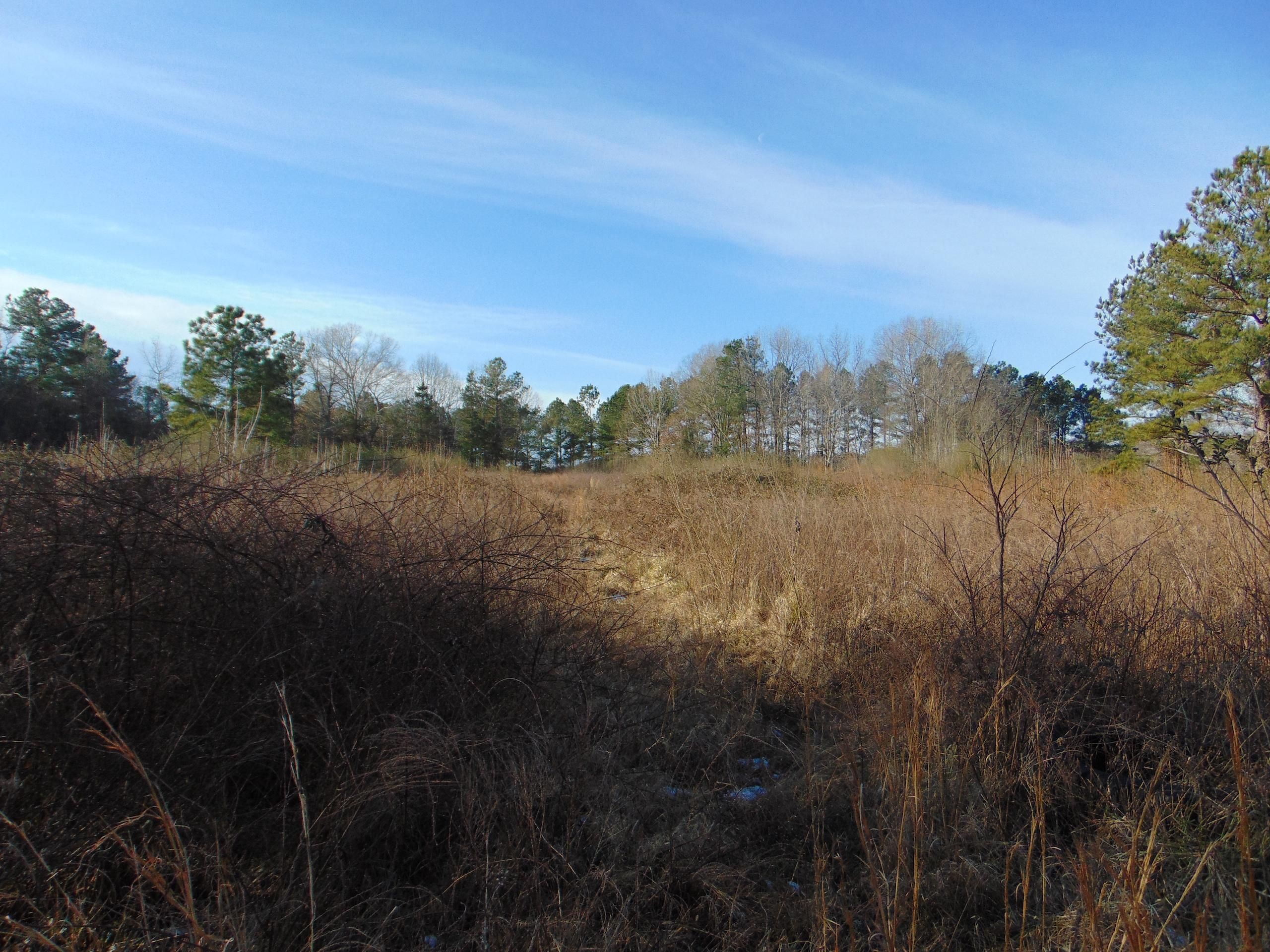 Henderson, Vance County, NC Recreational Property, Timberland Property