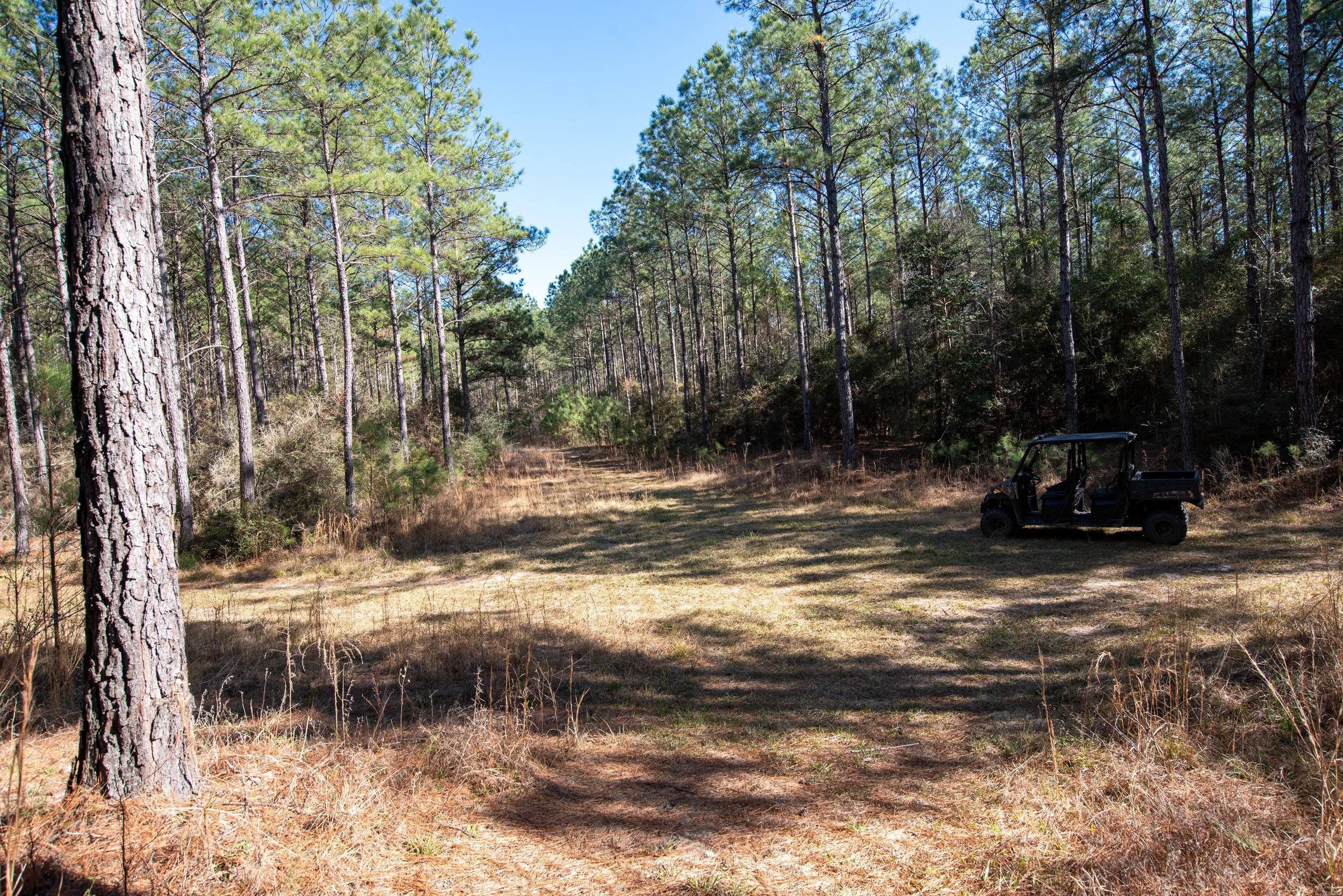 Chester, Tyler County, TX Recreational Property, Timberland Property