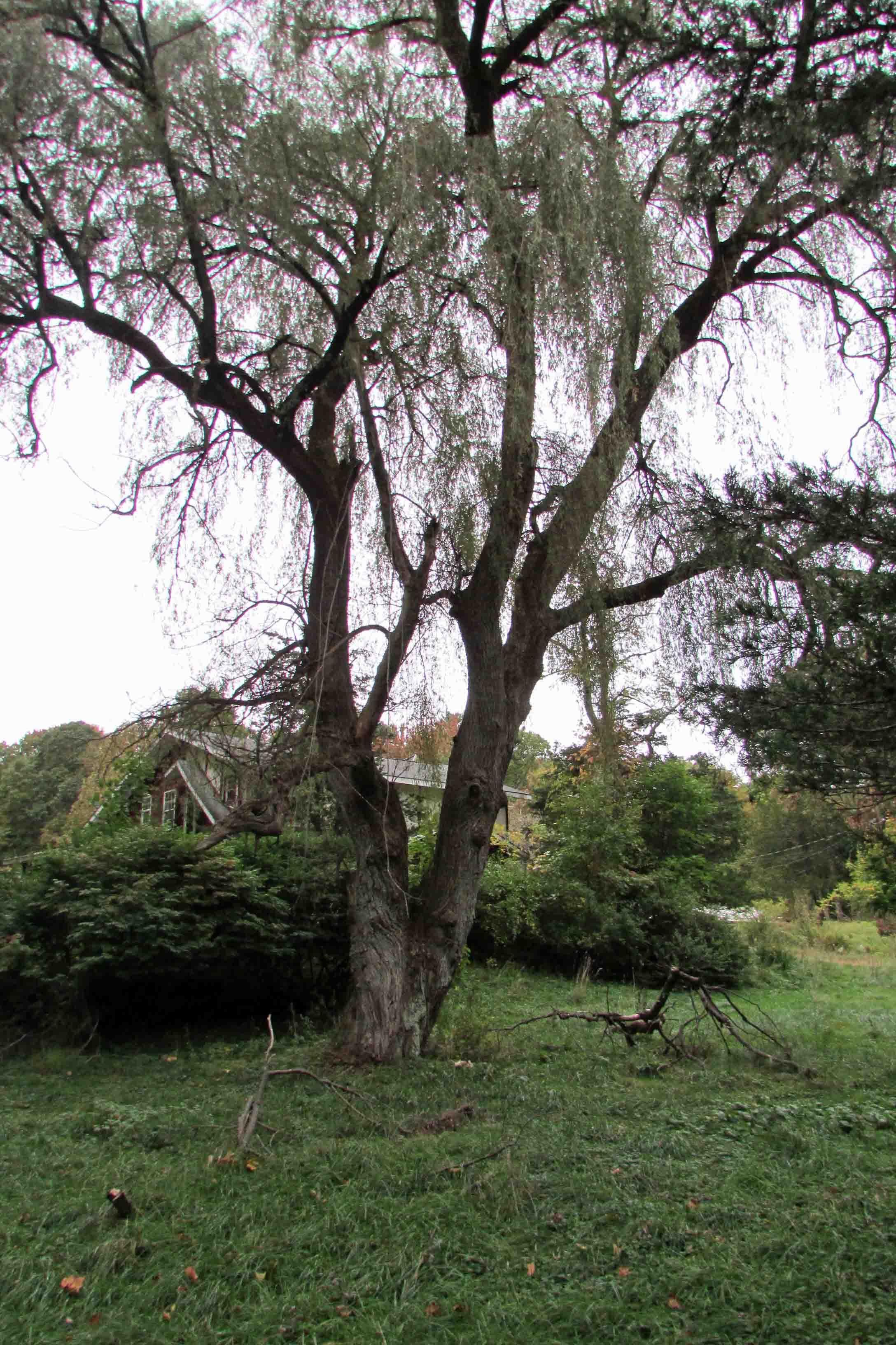 116 Reservoir Rd, Staatsburg, NY 12580 MLS 726212 LandWatch