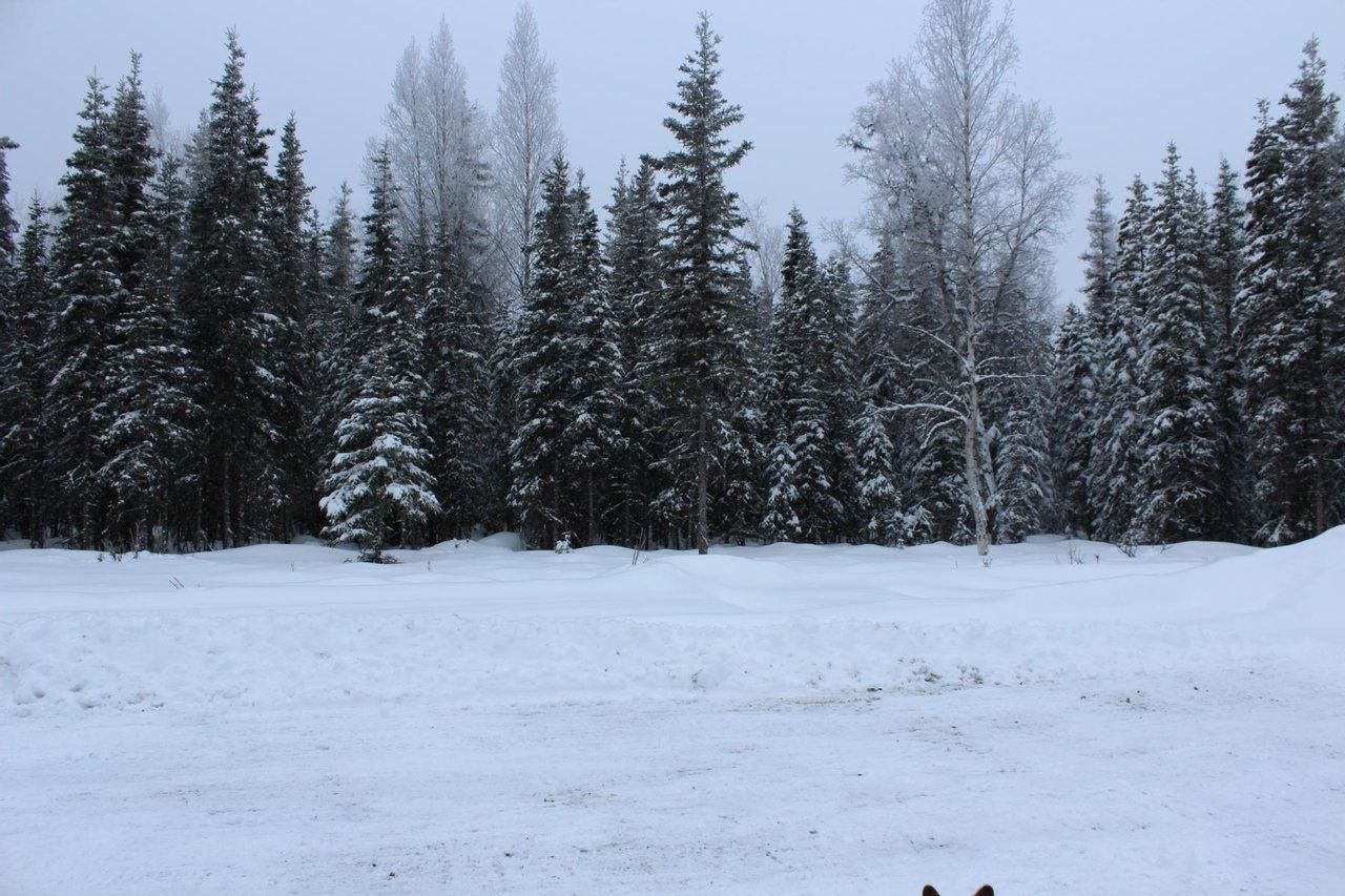 Sterling, Kenai Peninsula Borough, AK Farms and Ranches, Undeveloped