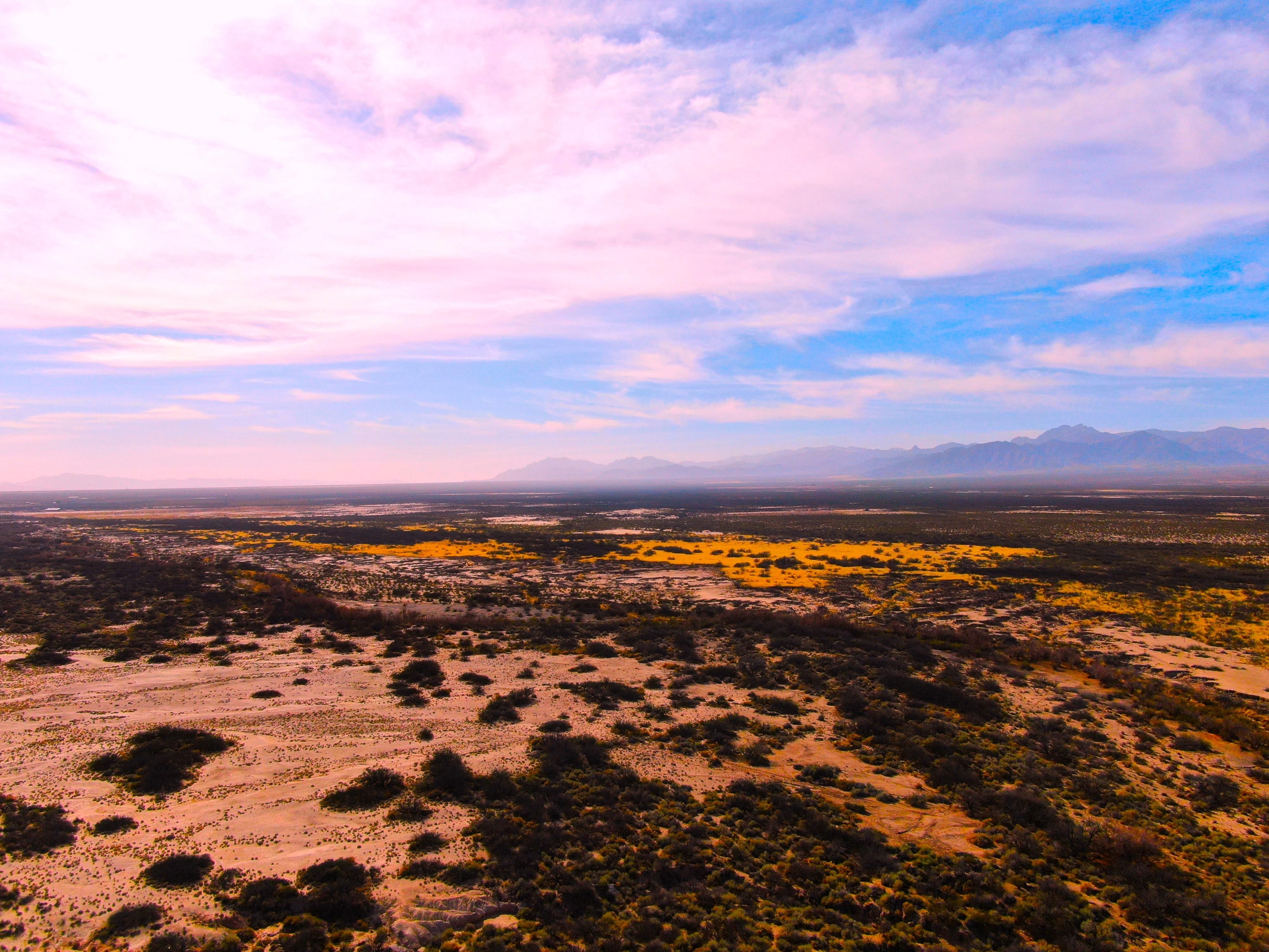 San Simon, Cochise County, AZ Farms and Ranches, Undeveloped Land for