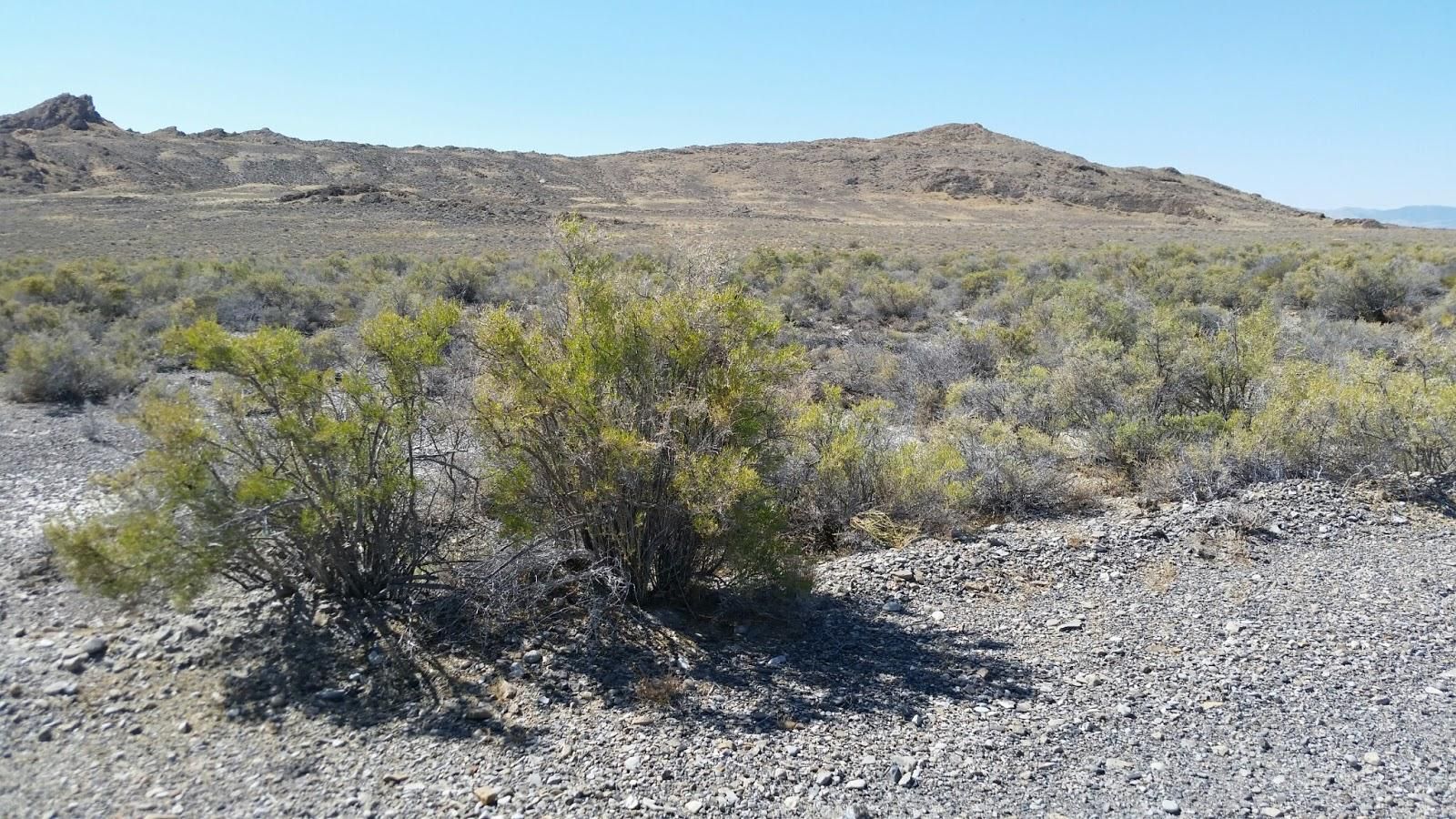 5 acres in Lucin, UT, 84083 LandWatch