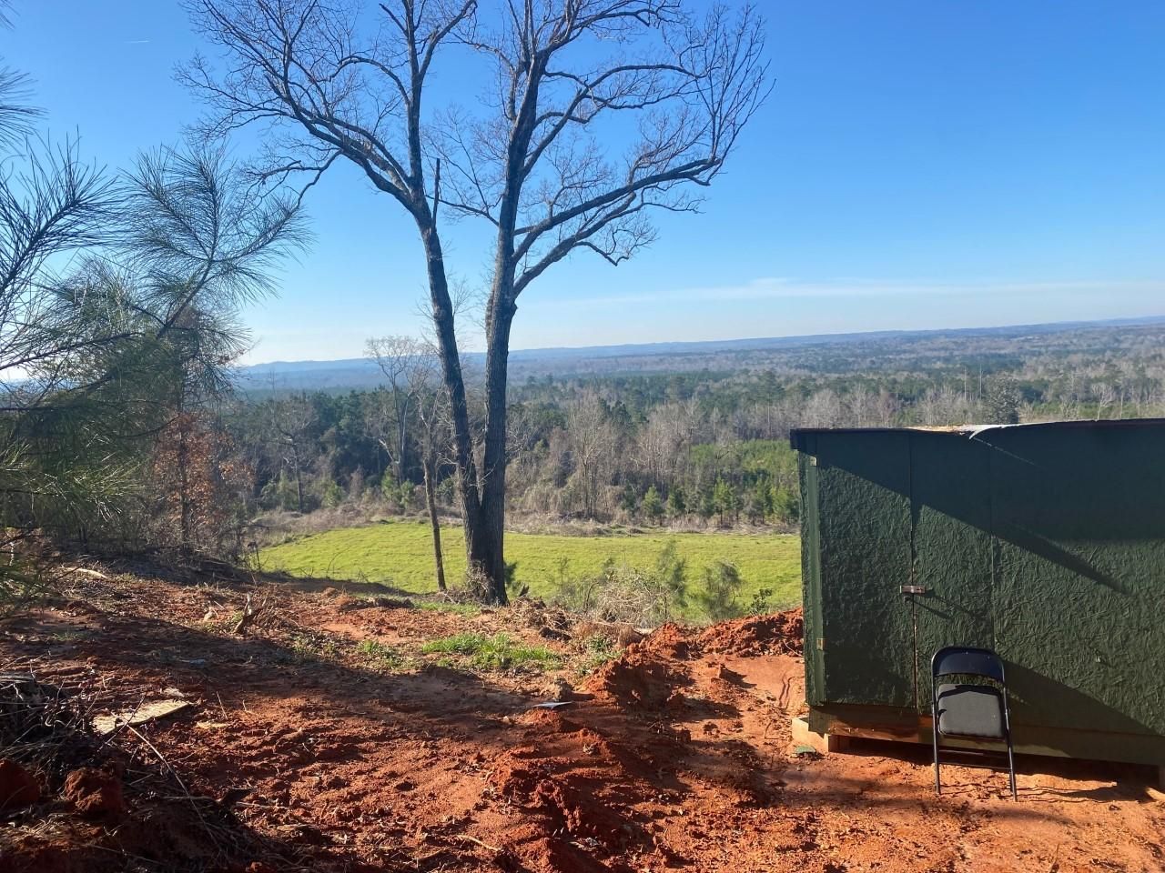 Camden, Wilcox County, AL Recreational Property, Timberland Property