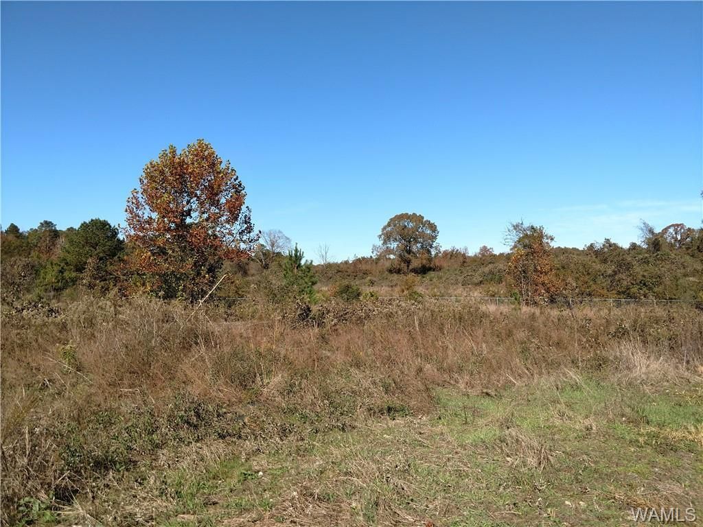 Moundville, Hale County, AL Recreational Property, Undeveloped Land