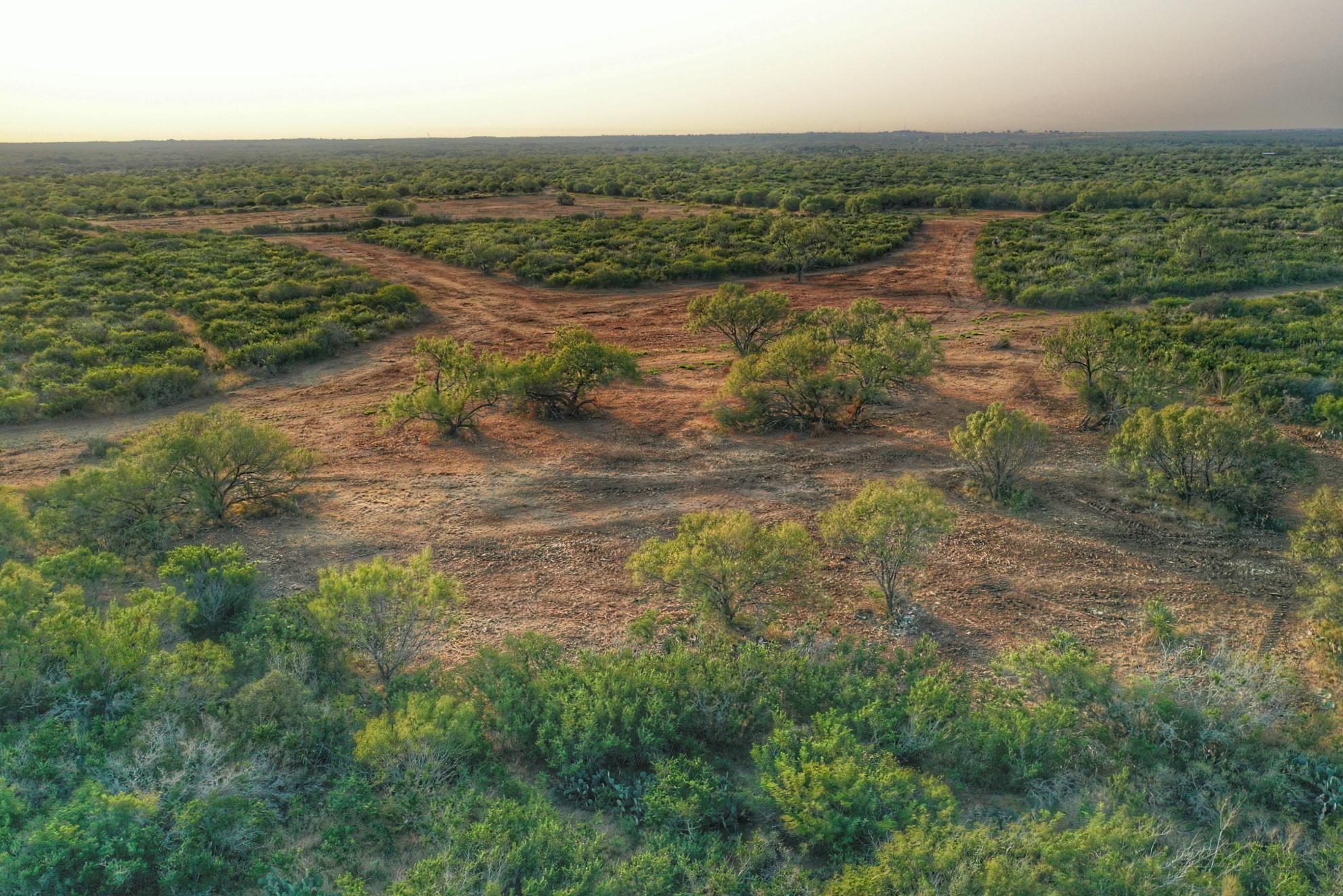 522 acres in Pearsall, TX, 78061 LandWatch