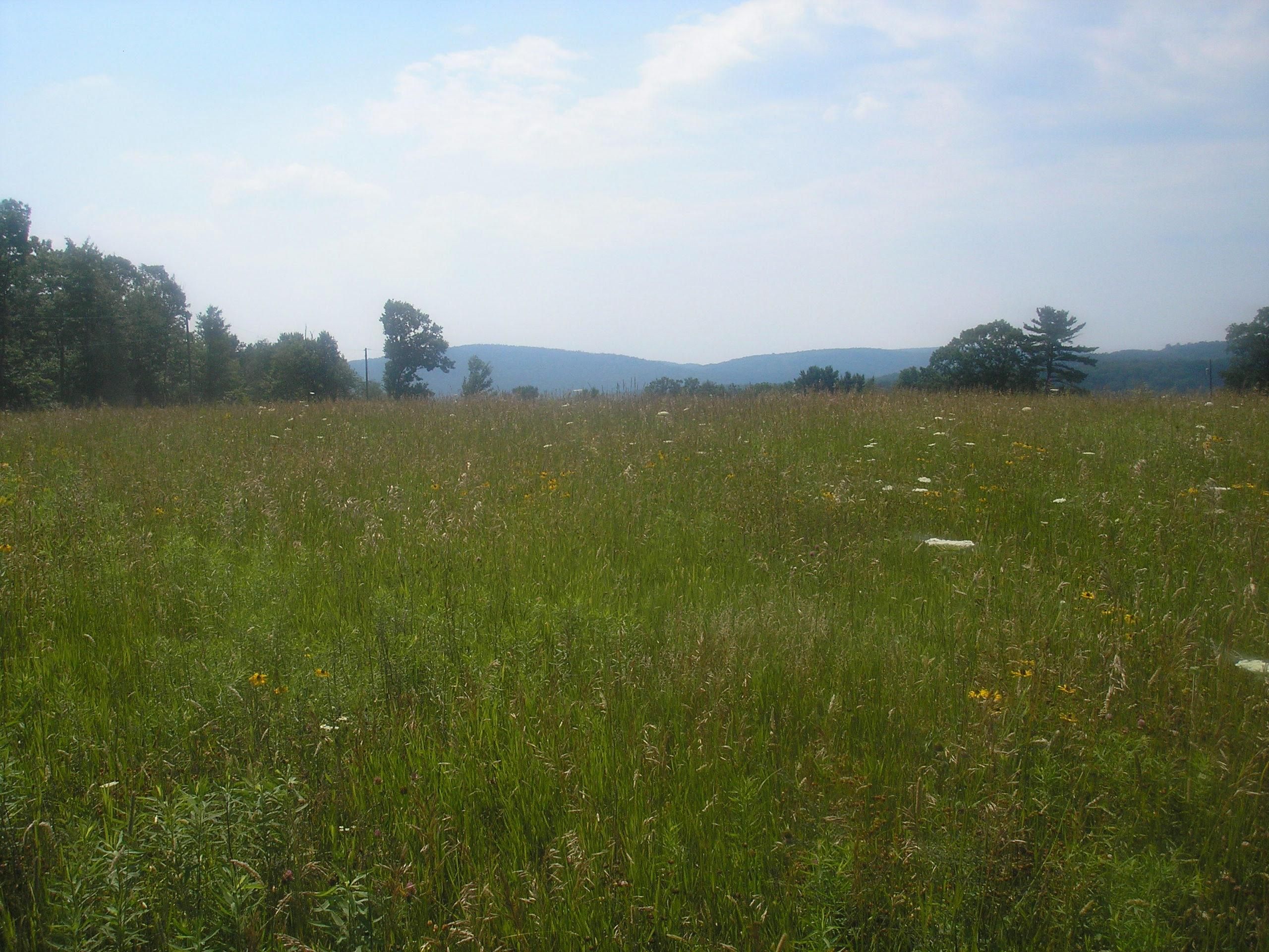 Chemung, Chemung County, NY Recreational Property, Undeveloped Land for