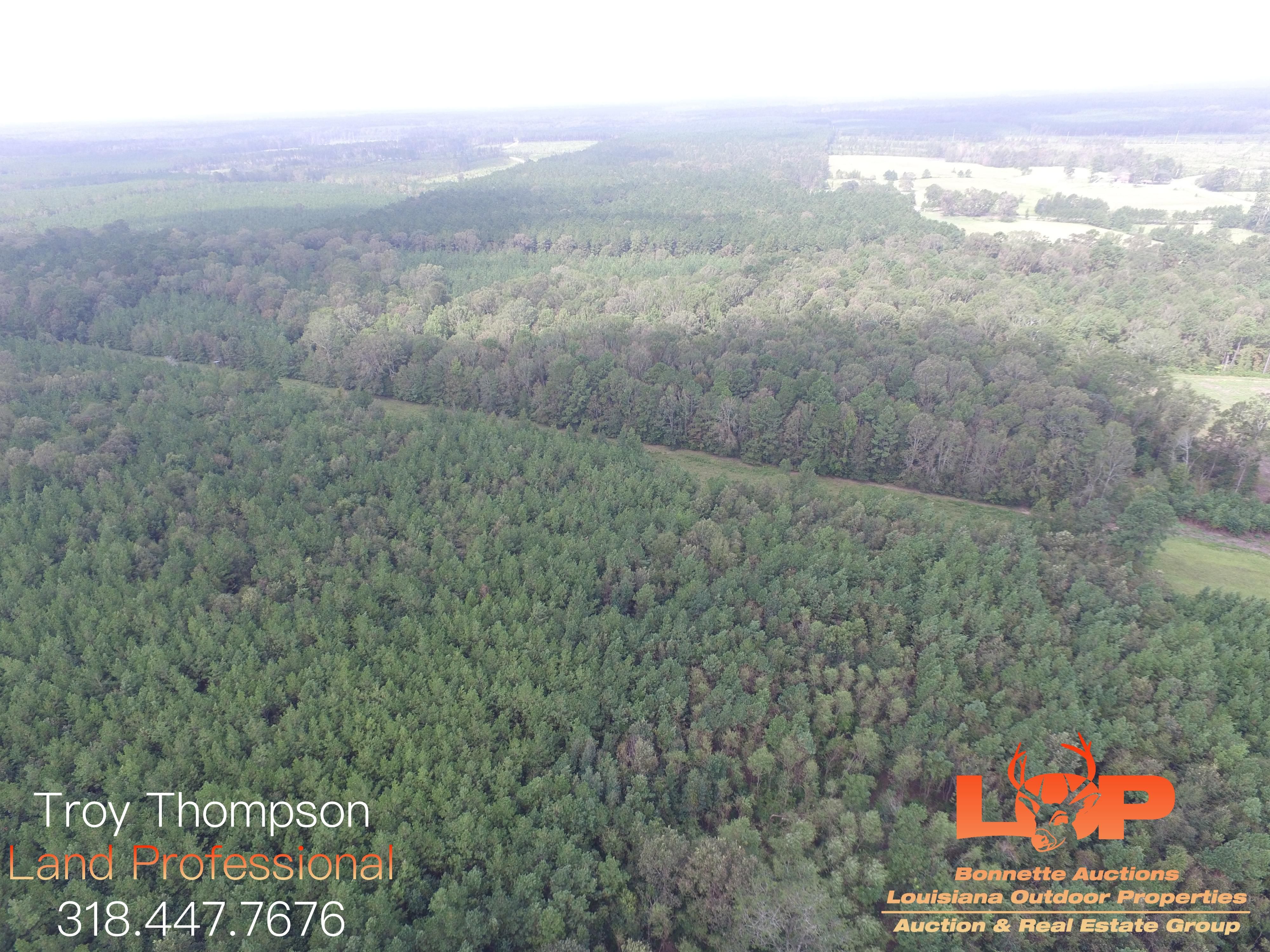 Kelly, Caldwell Parish, LA Timberland Property, Hunting Property for