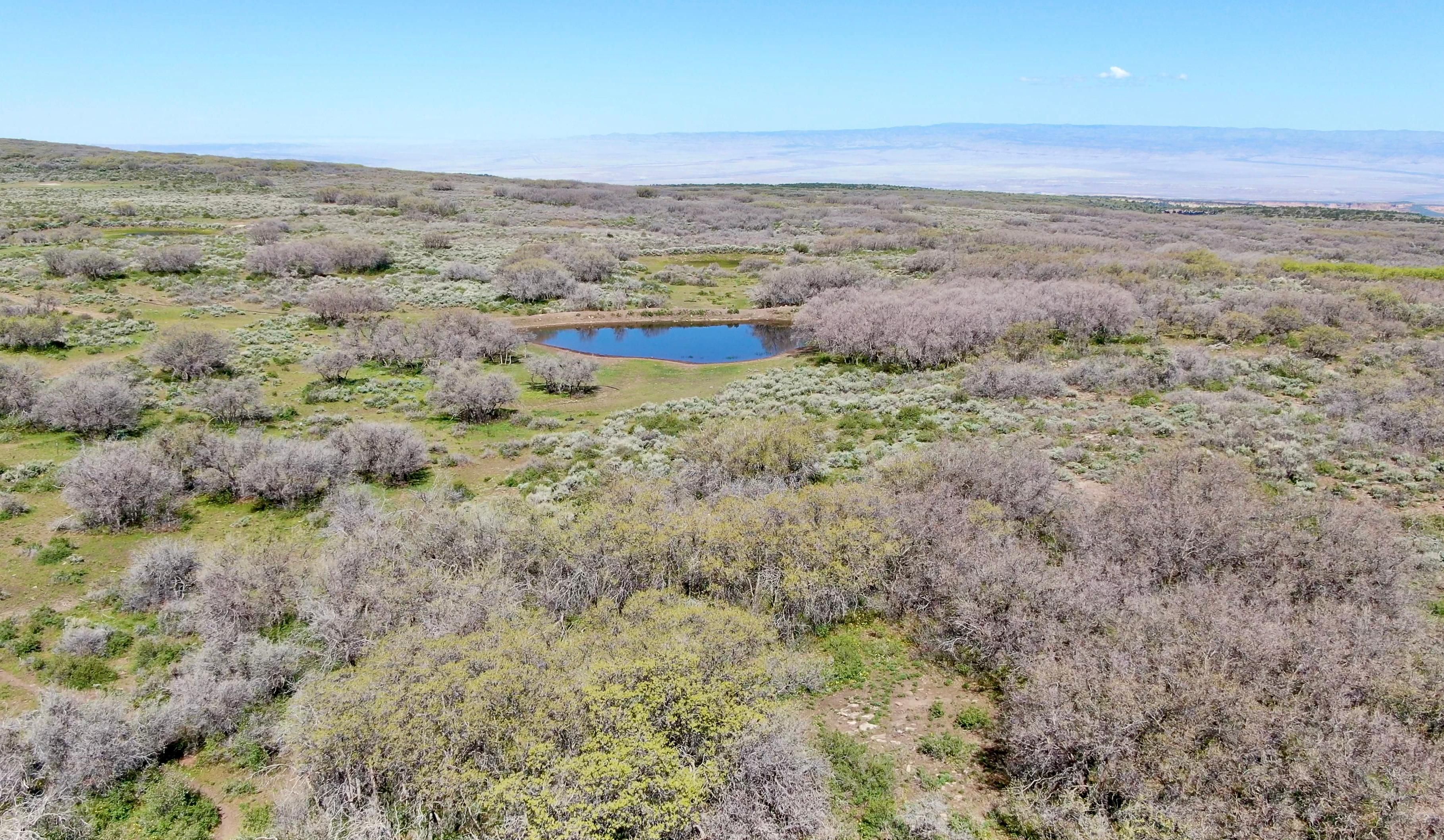 Spring Creek Road, Glade Park, CO 81523 MLS 202110253 LandWatch