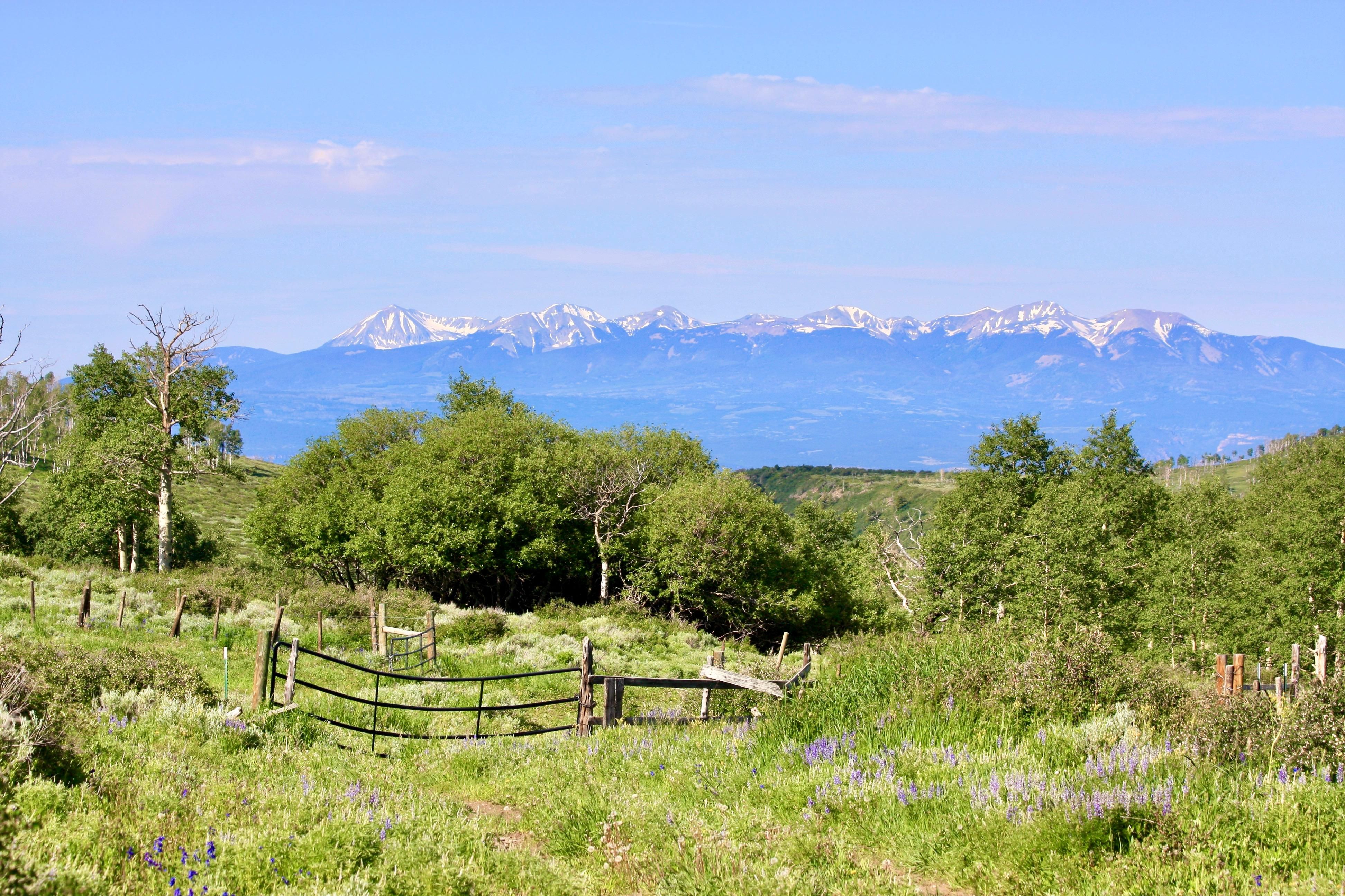 Glade Park, Mesa County, CO Farms and Ranches, Recreational Property