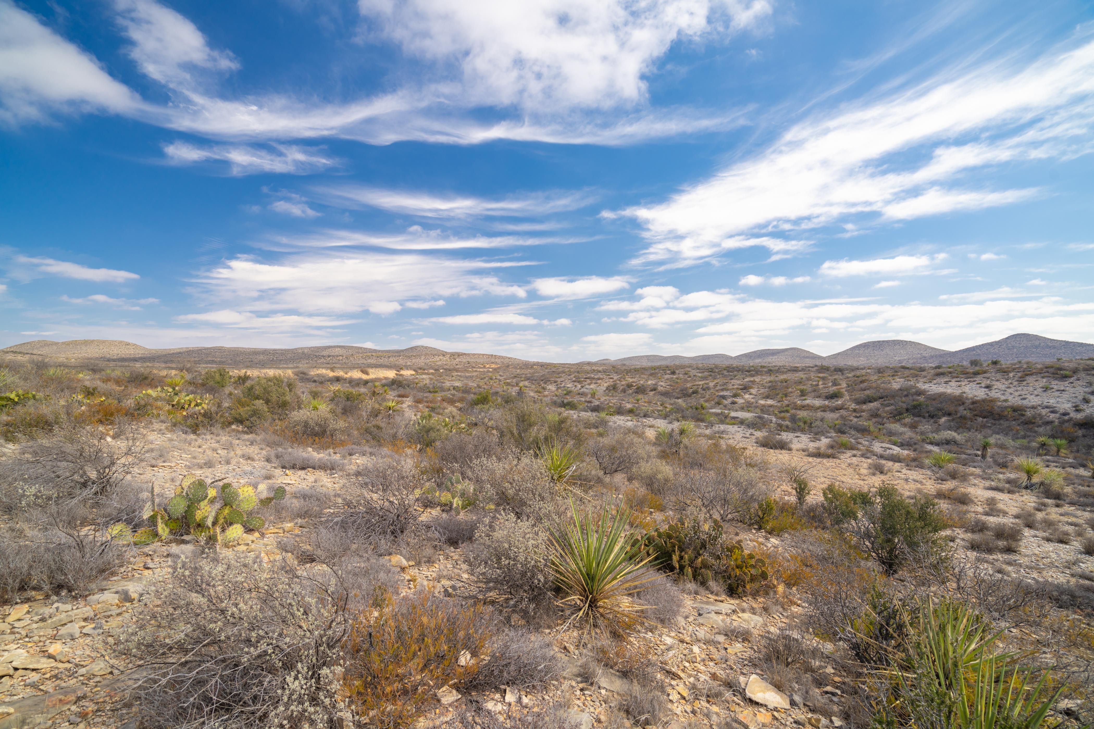 Langtry, Val Verde County, TX Farms and Ranches, Recreational Property
