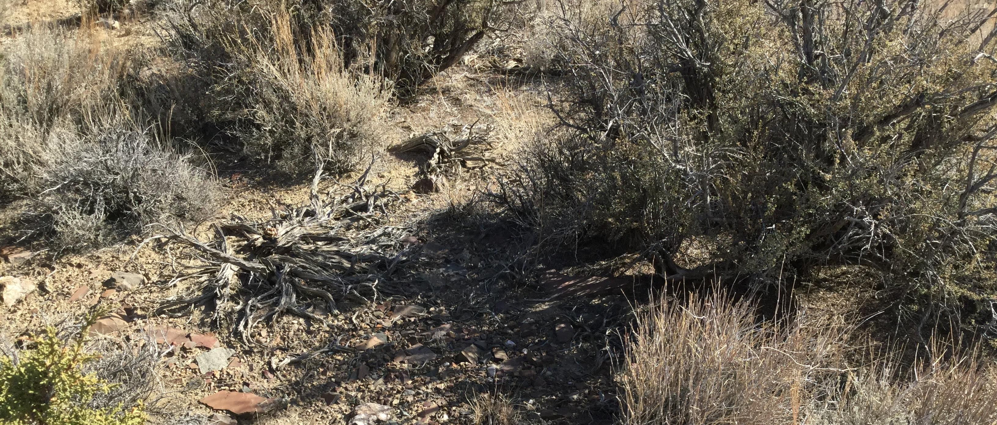 Lida, Esmeralda County, NV Recreational Property, Undeveloped Land for