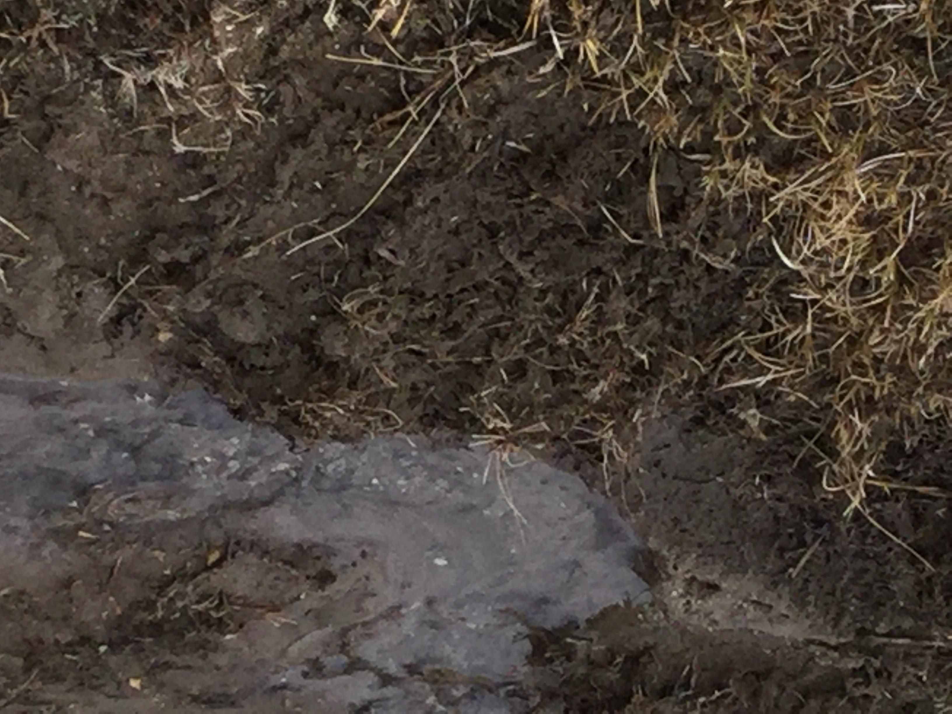 Lida, Esmeralda County, NV Recreational Property, Undeveloped Land for