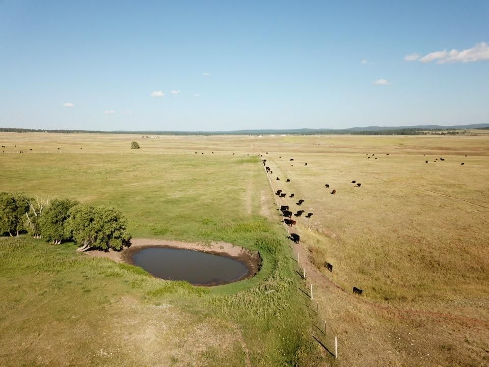 Four Corners, Weston County, WY Farms and Ranches, Horse Property for