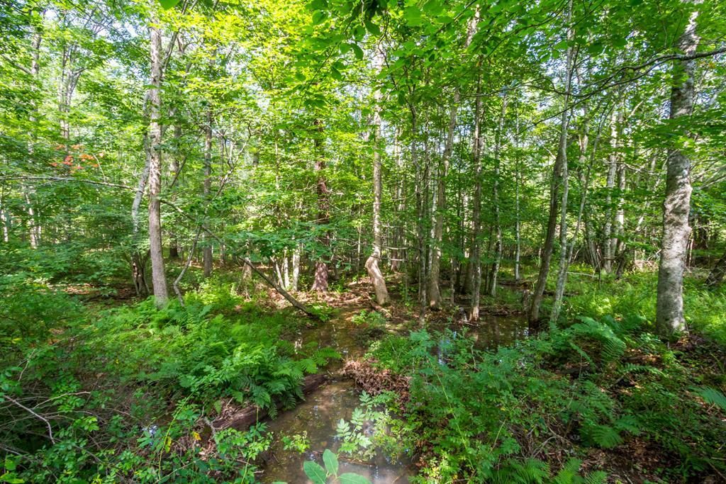 Wytheville, Wythe County, VA Hunting Property for sale Property ID