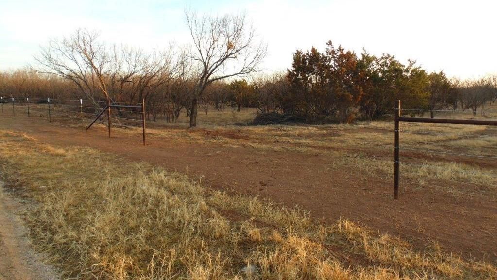 Ovalo, Taylor County, TX Farms and Ranches, Undeveloped Land, Hunting