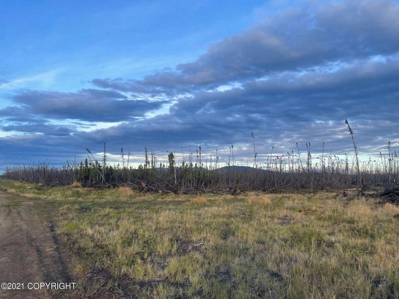 75.5 acres in Nenana, AK, 99704 MLS 2110100 LandWatch