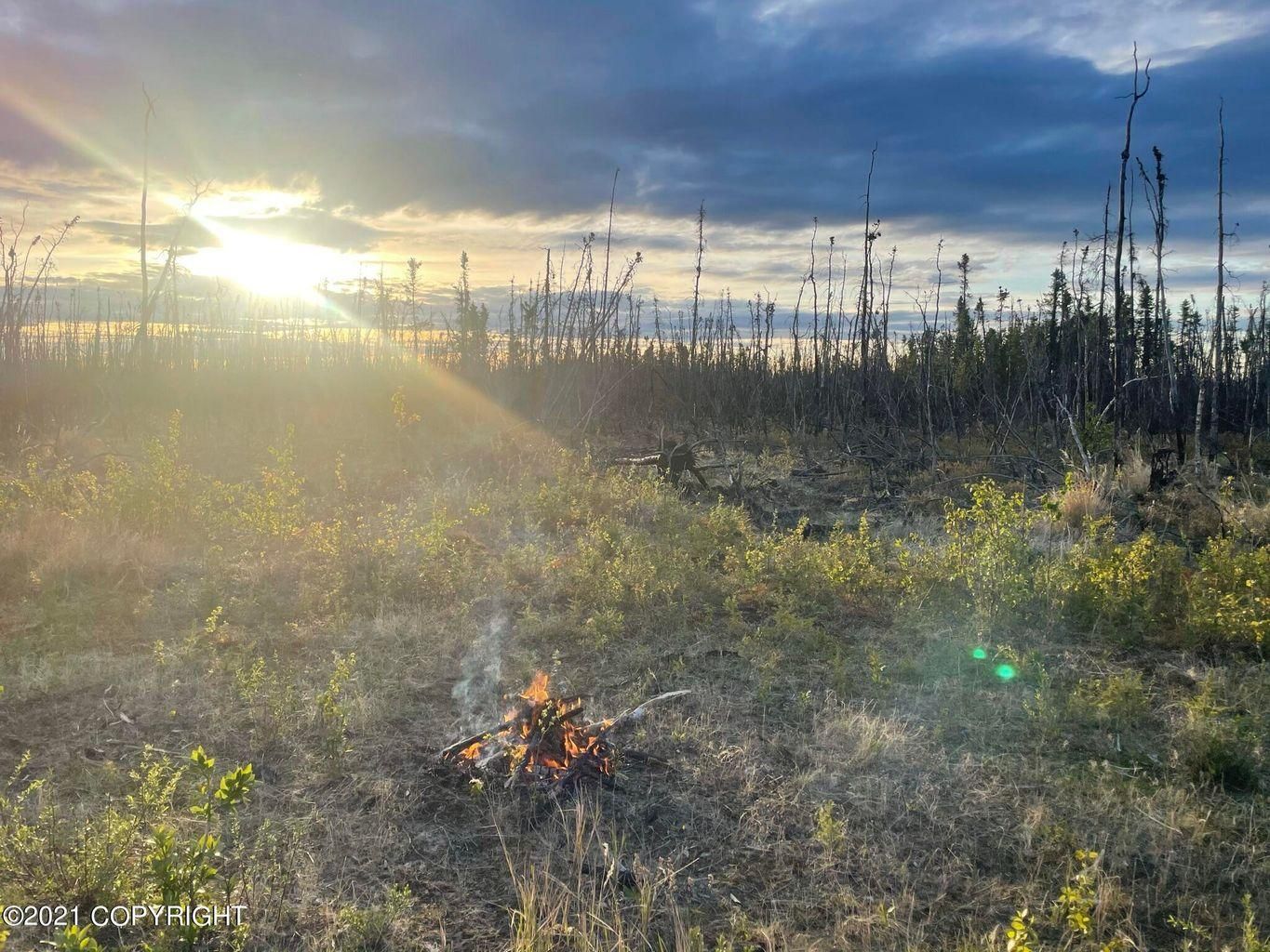 Nenana, Denali Borough, AK Recreational Property, Hunting Property for