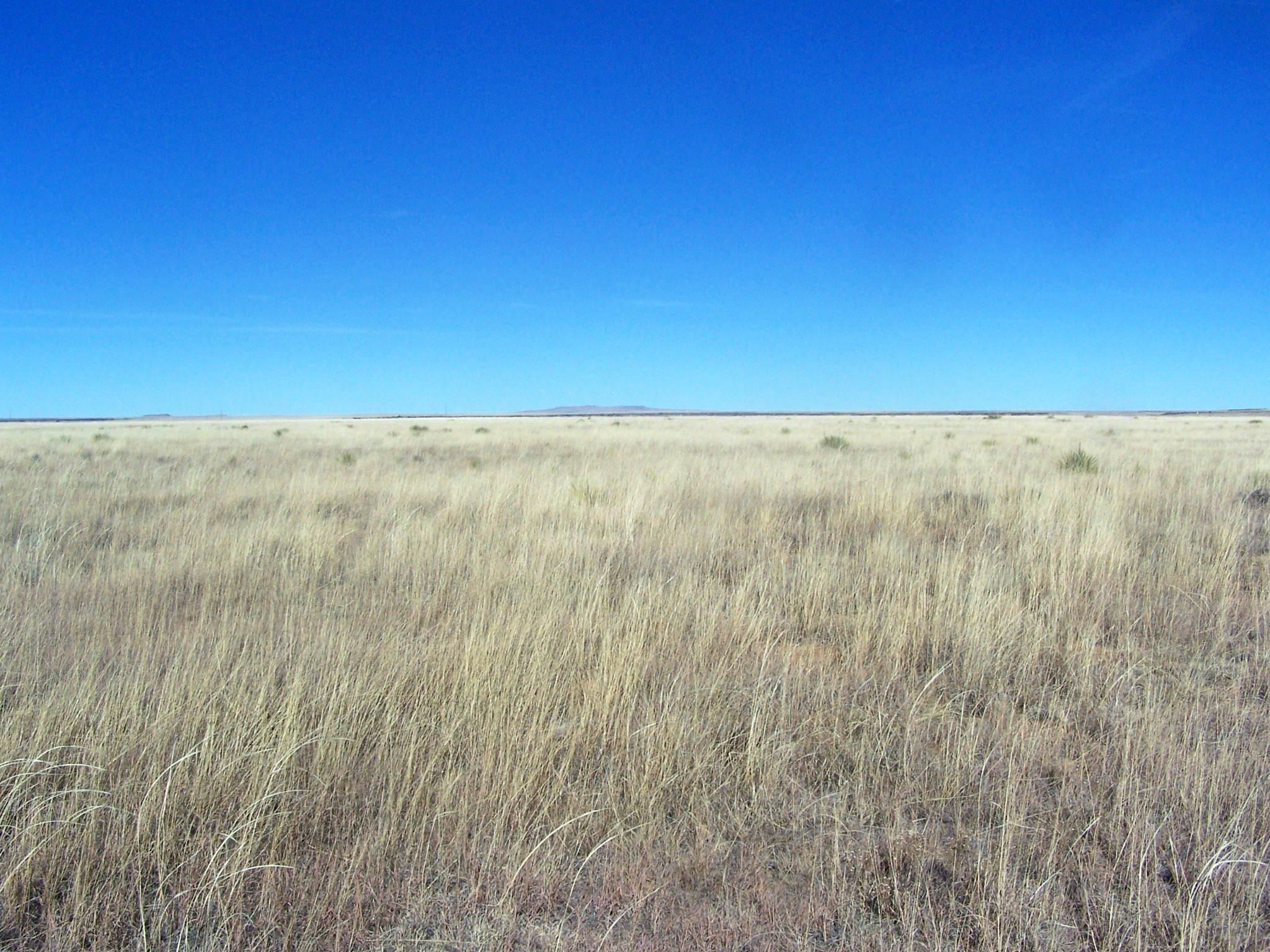 2,091 acres in Clayton, NM, 88415 LandWatch