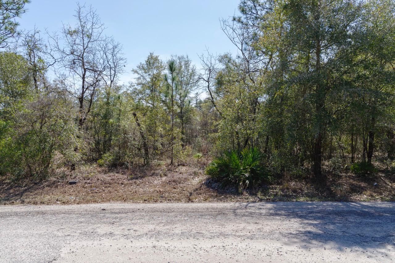 Quincy, Gadsden County, FL Recreational Property, Undeveloped Land