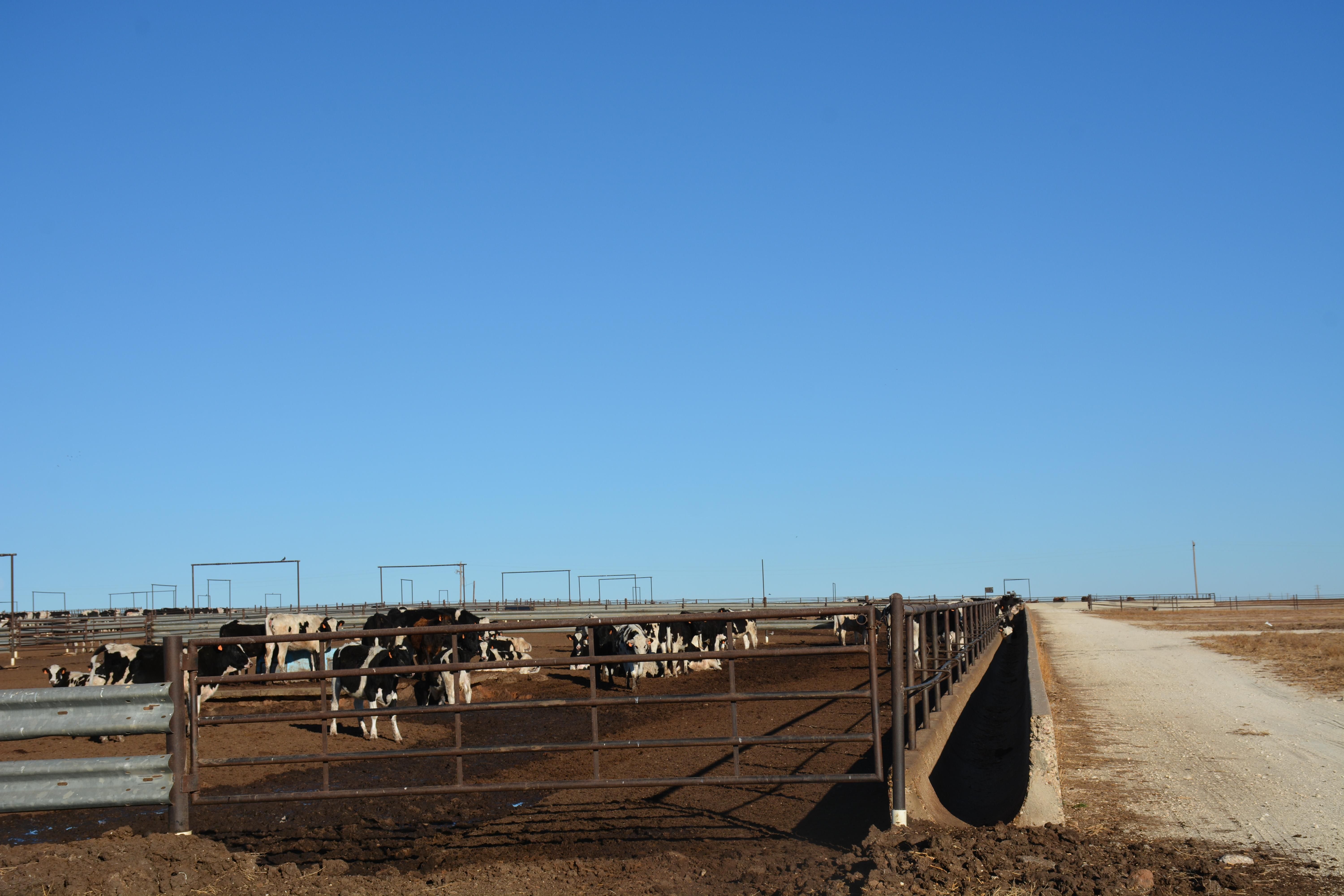 623.74 acres in Lazbuddie, TX, 79053 LandWatch