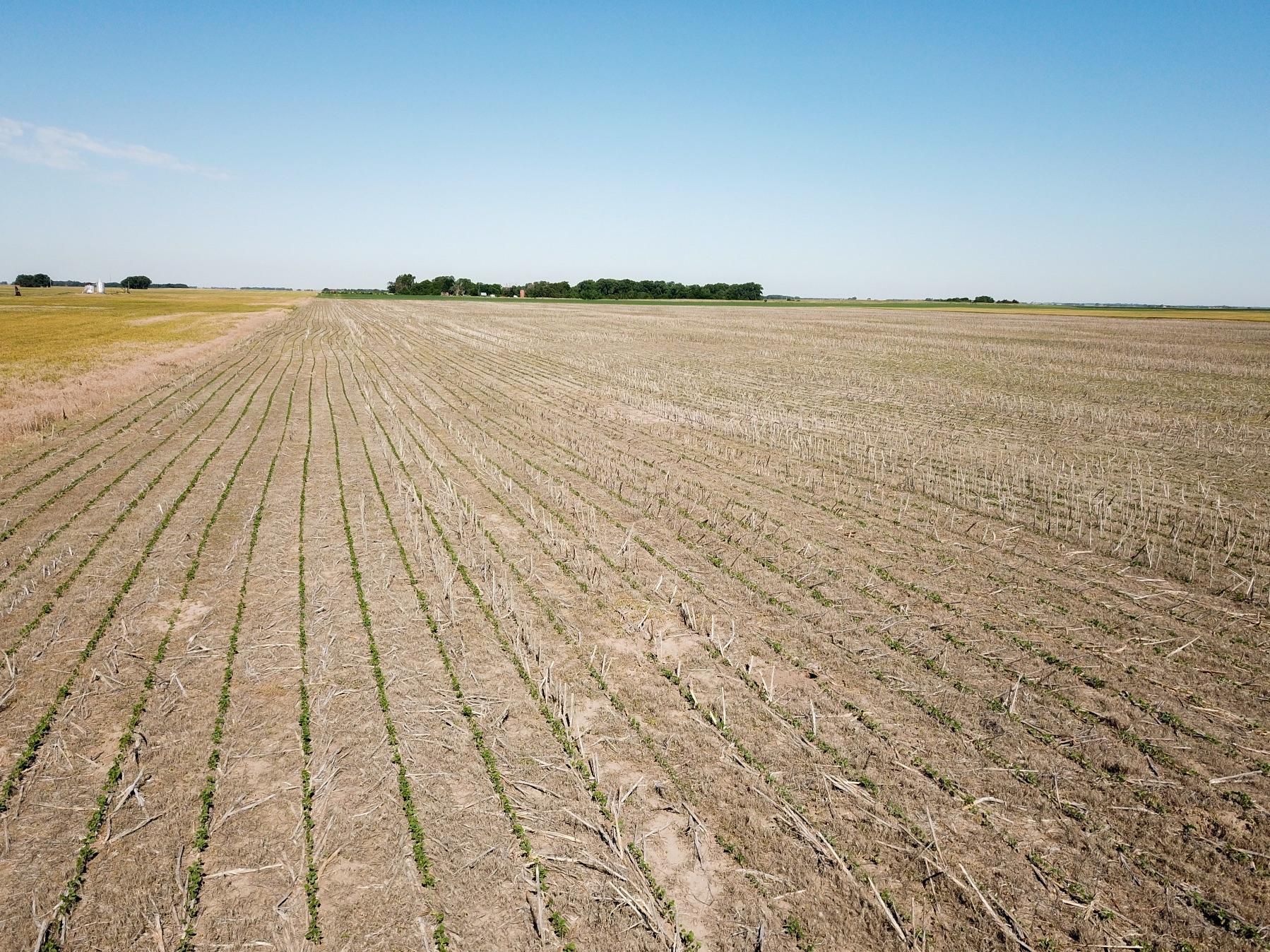 Chase, Rice County, KS Farms and Ranches, Undeveloped Land, Homesites
