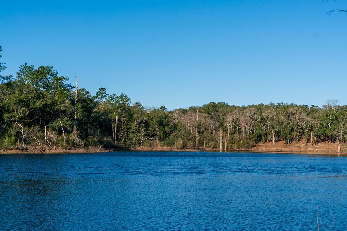 Holmes Valley Road, Vernon, FL 32462 LandWatch