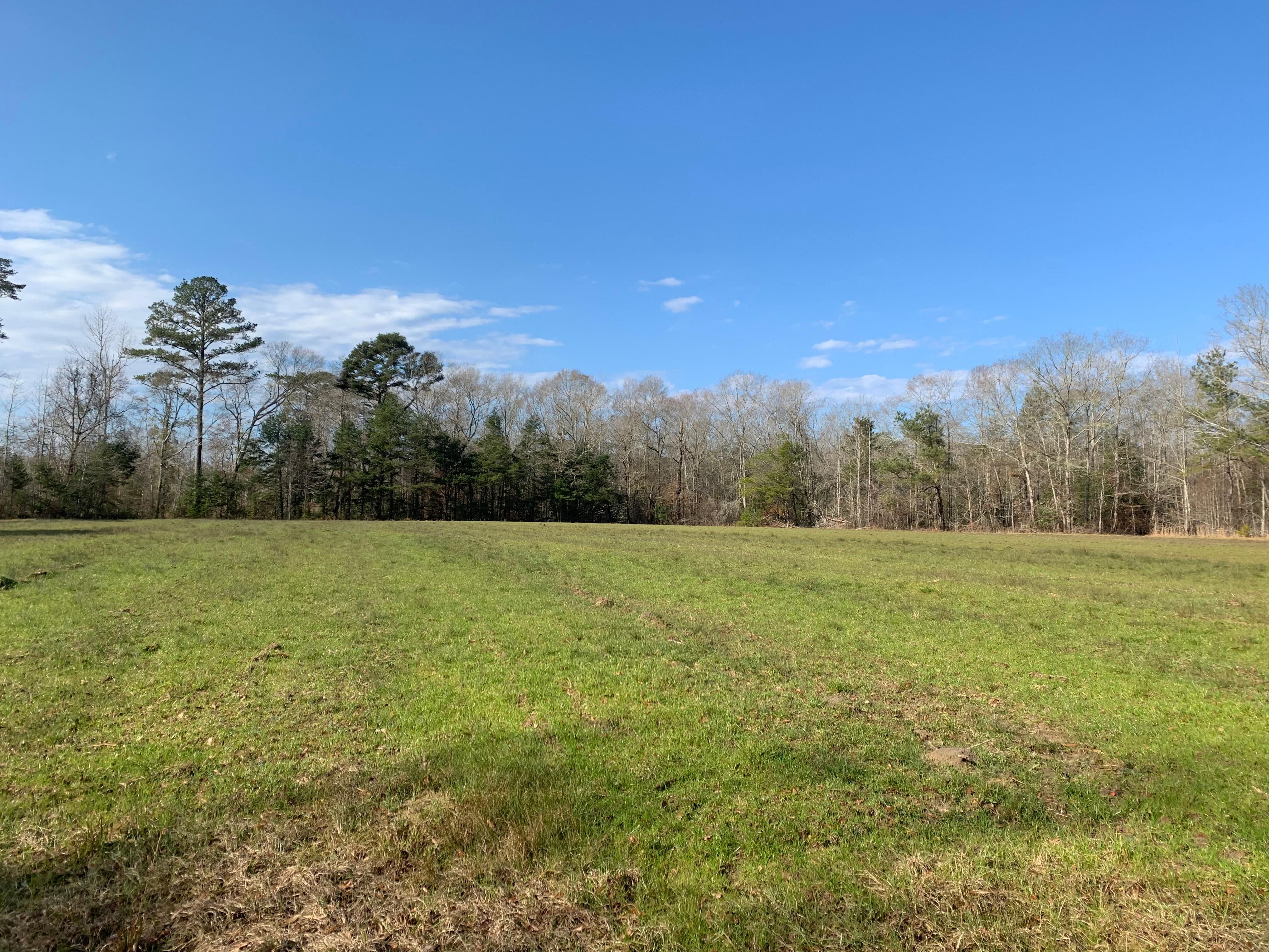 Brantley, Crenshaw County, AL Farms and Ranches, Timberland Property