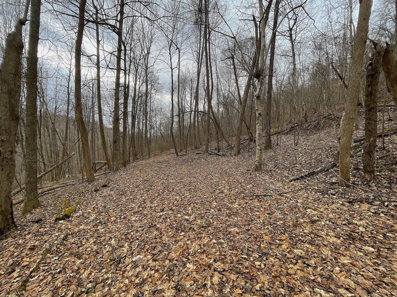 Stout, Scioto County, OH Recreational Property, Hunting Property