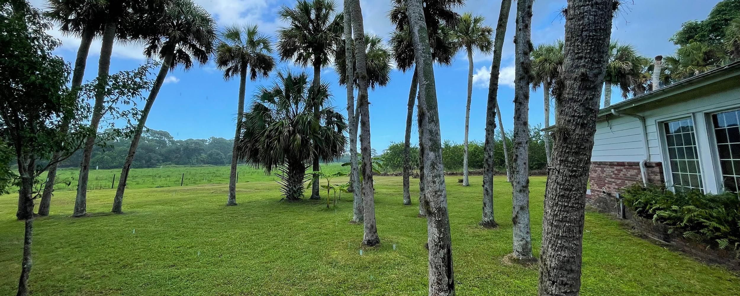 Fort Pierce, Saint Lucie County, FL Commercial Property for sale