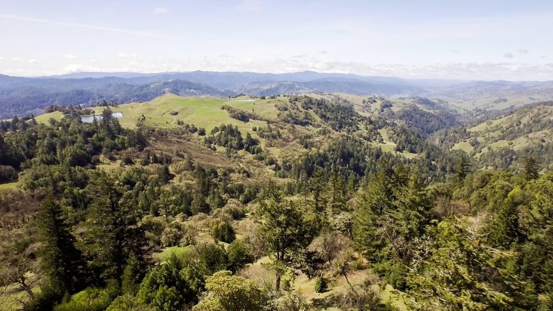 19501 Grizzly Flat Road, Yorkville, CA 95494 LandWatch