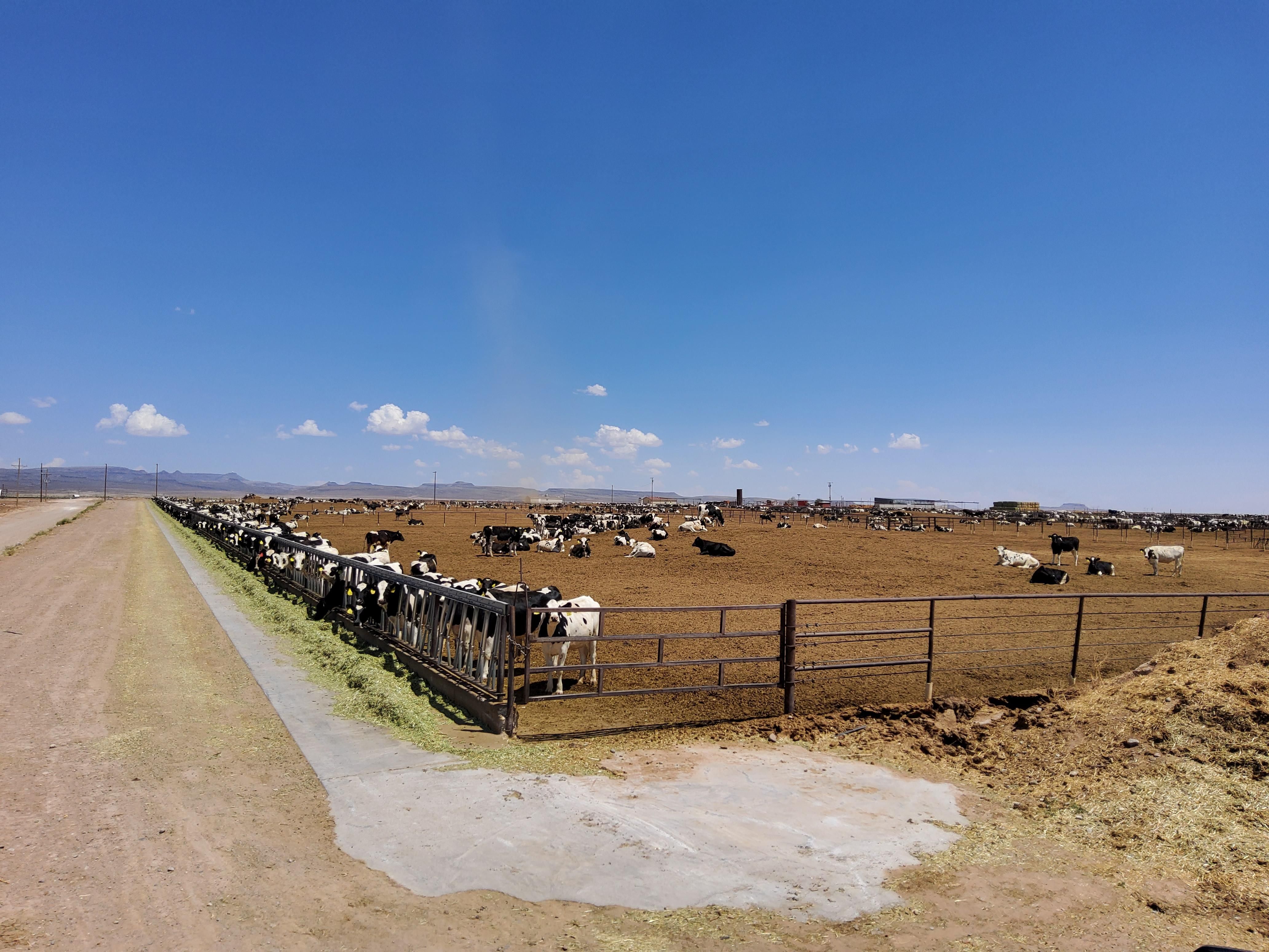 Deming, Luna County, NM Farms and Ranches, Commercial Property for sale