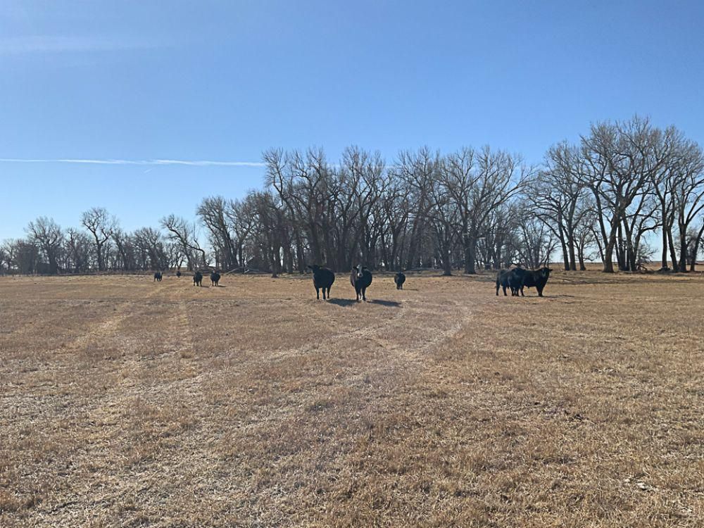 Atkinson, Holt County, NE Farms and Ranches for sale Property ID