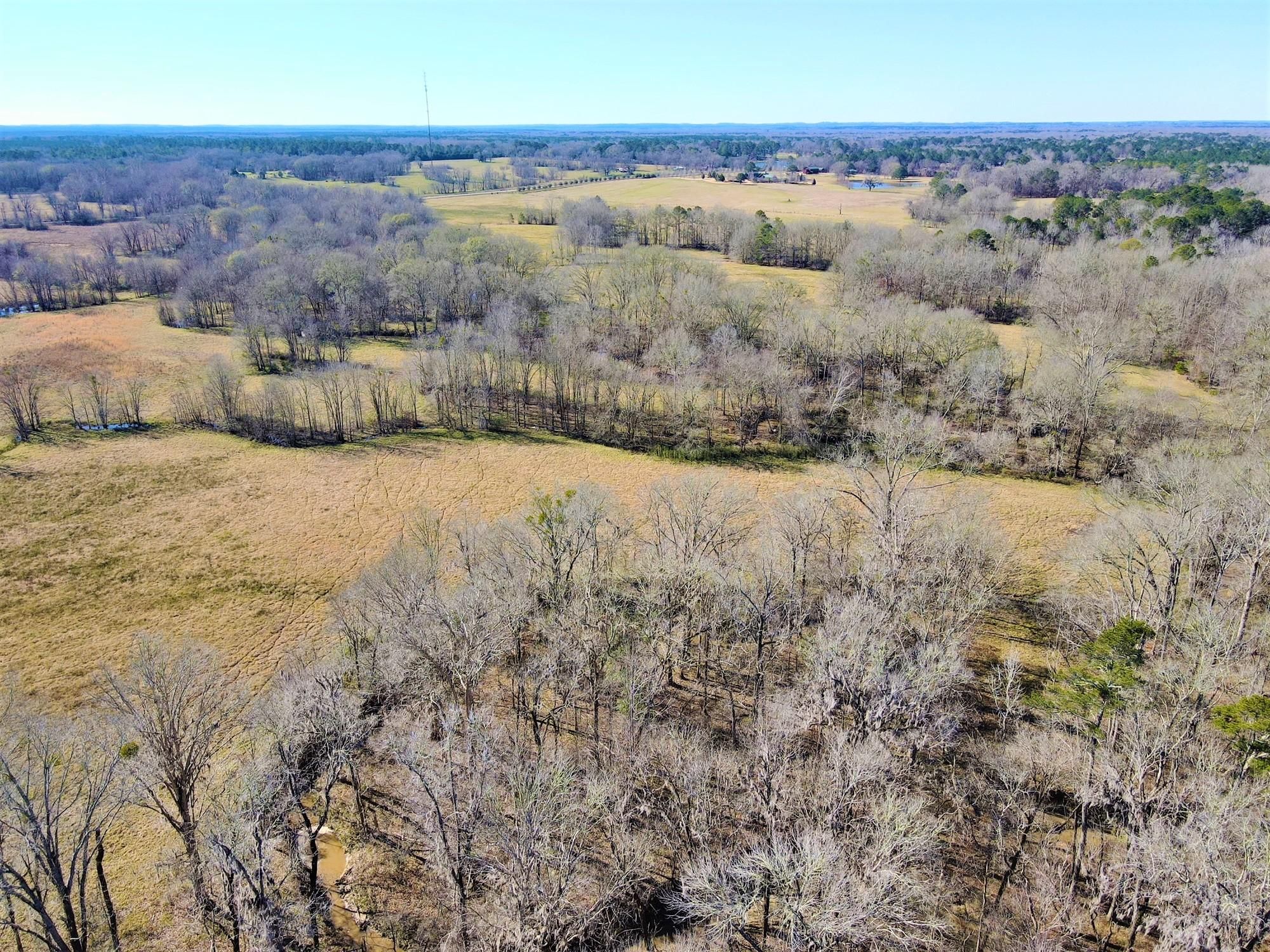 Mathews, Montgomery County, AL Recreational Property, Timberland