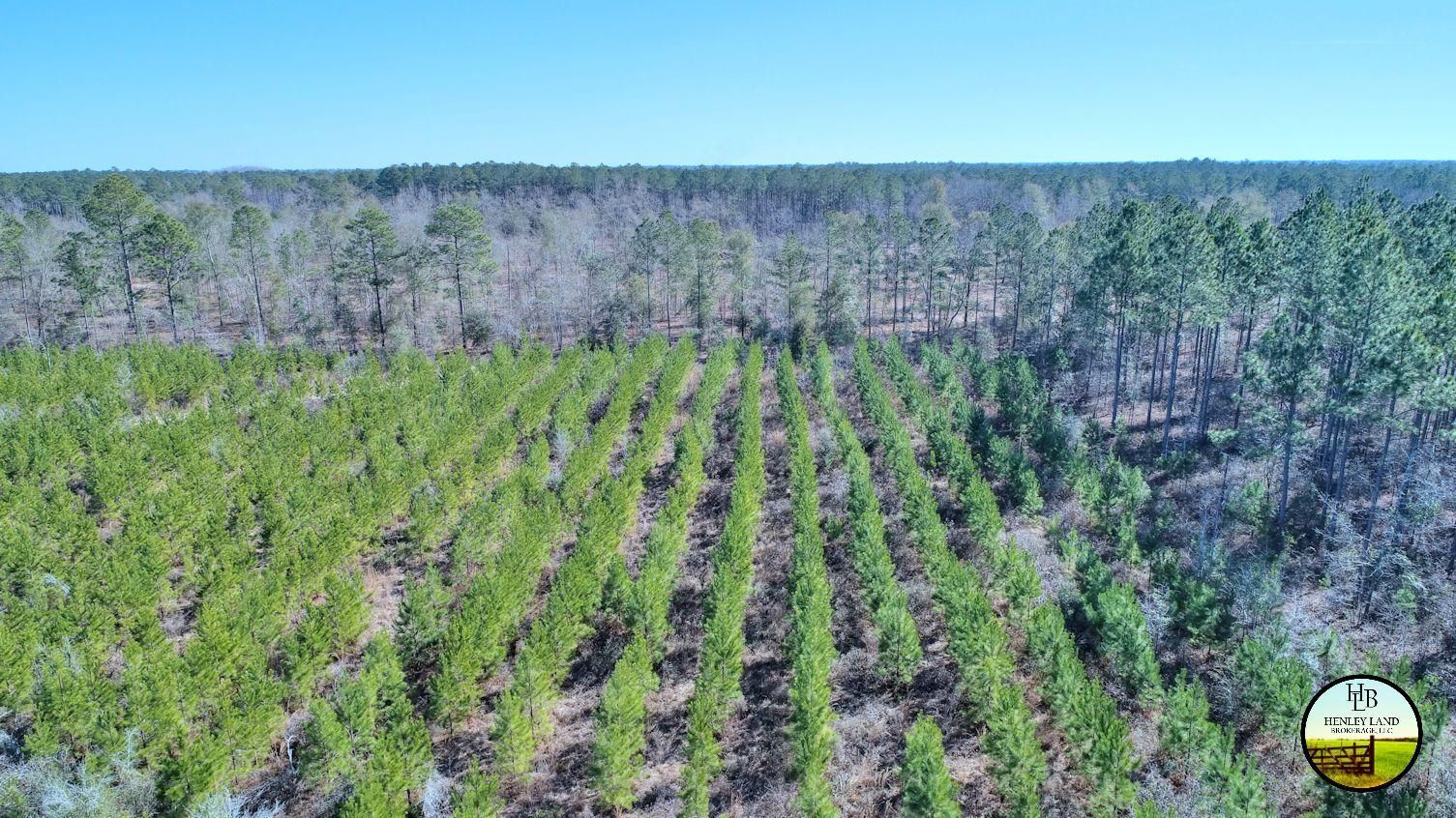 200, Damascus, GA 39841 LandWatch