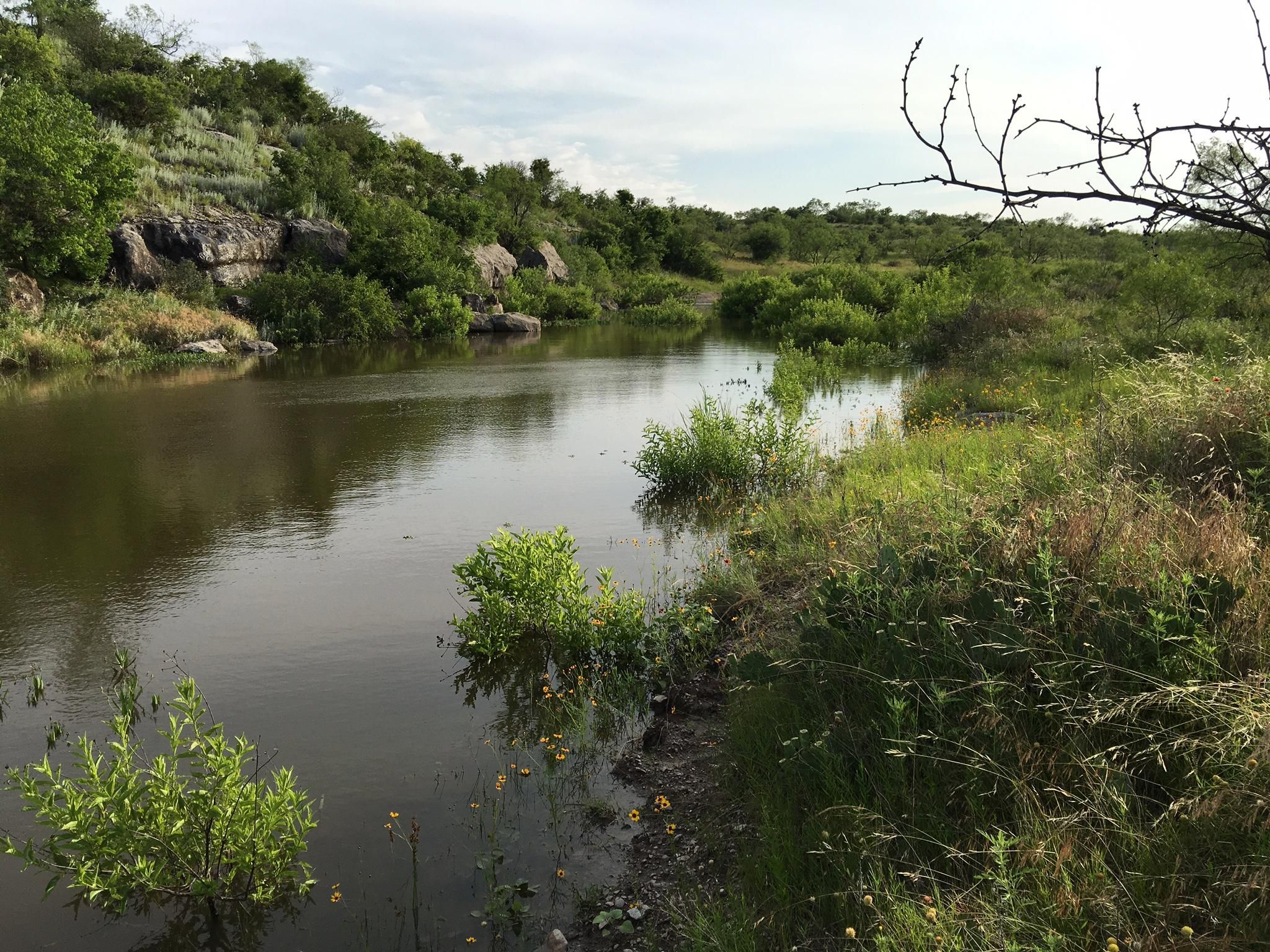 County Road 1445, Paint Rock, TX 76866 LandWatch