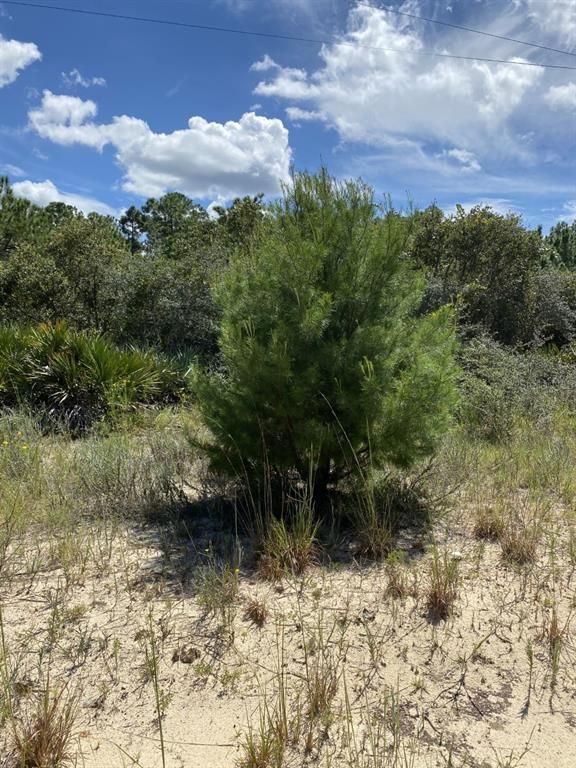 Lake Wales, Polk County, FL Undeveloped Land for sale Property ID