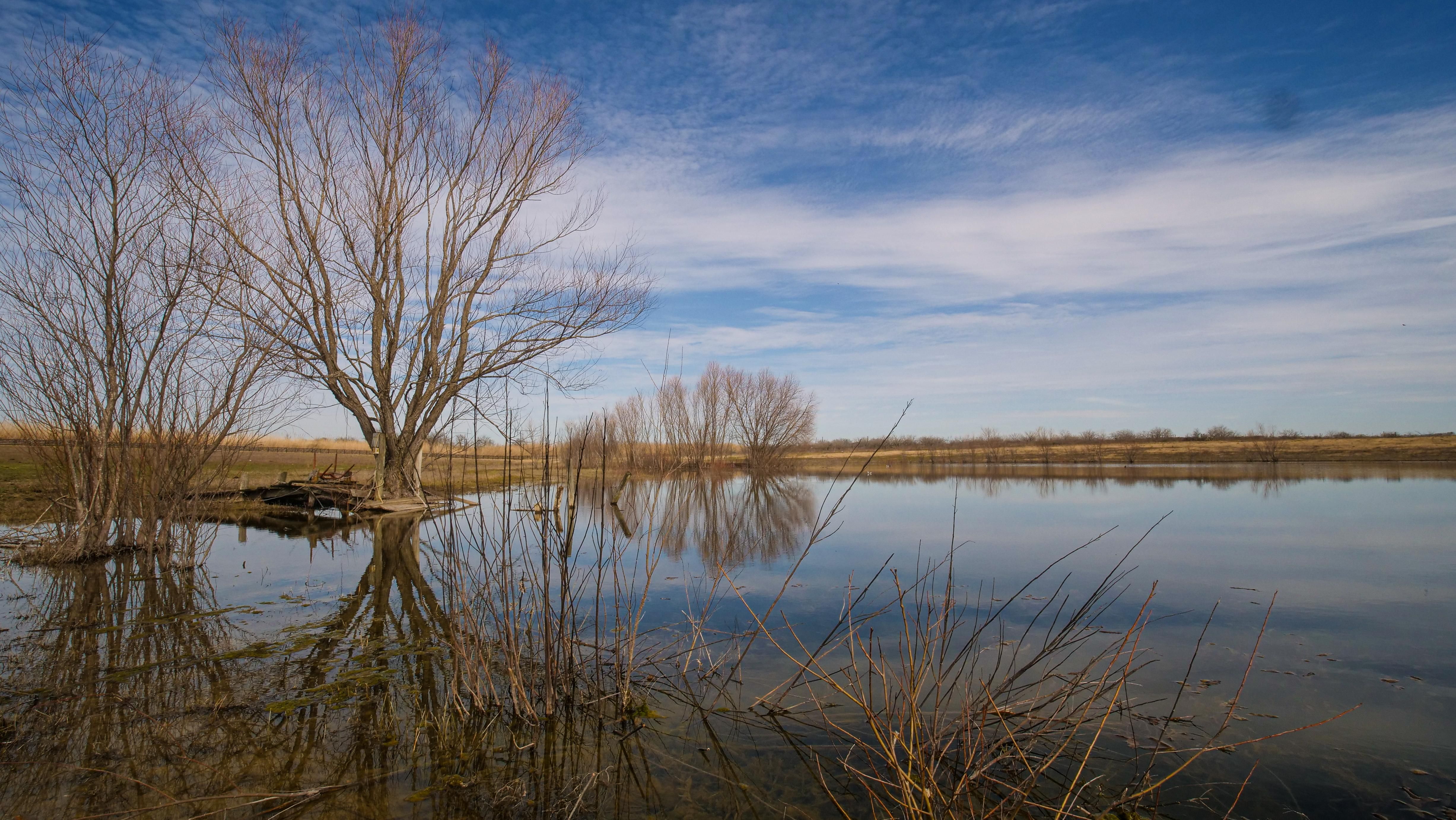 Buckholts, Milam County, TX Undeveloped Land, Hunting Property for sale