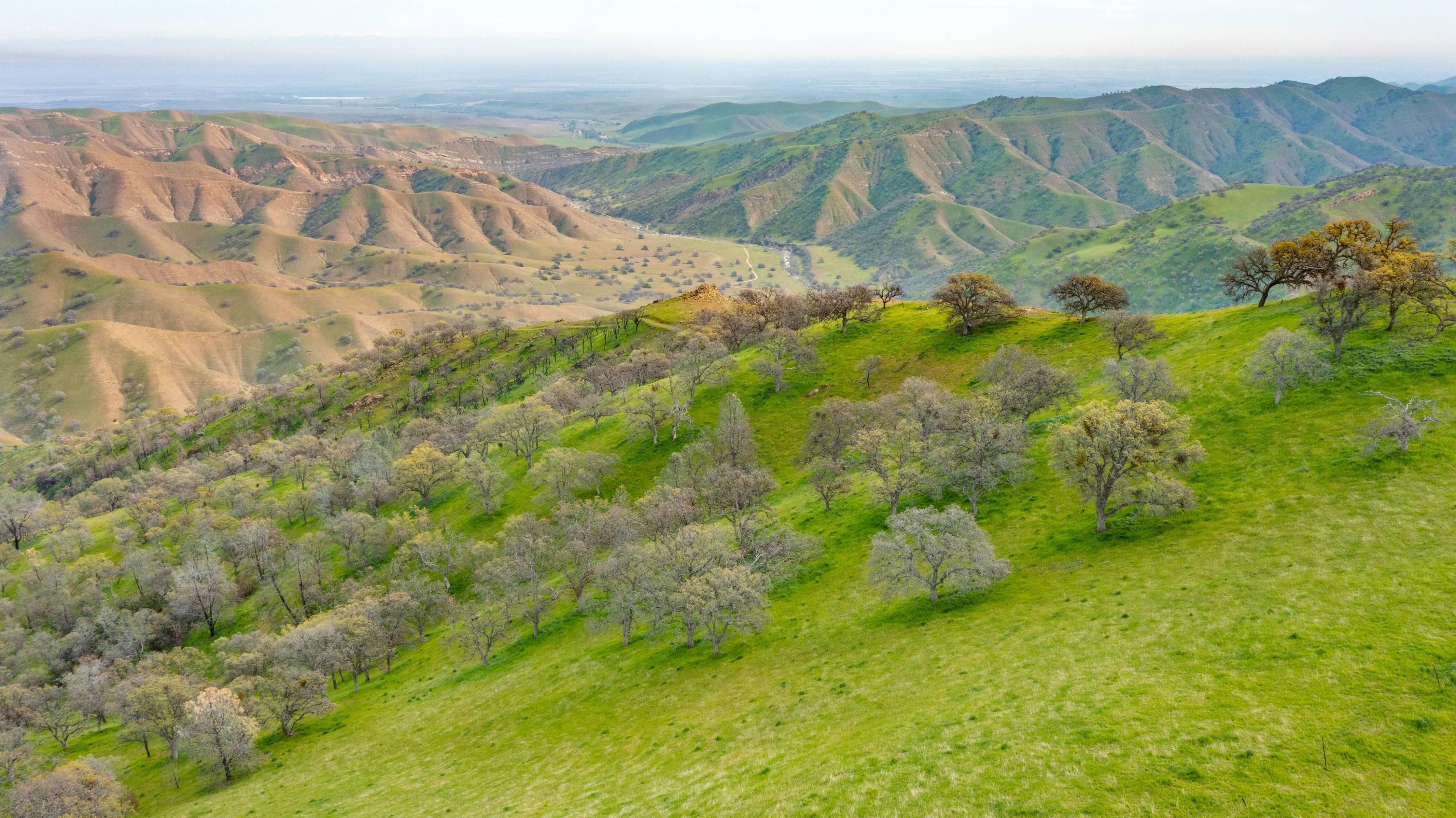 Newman, Stanislaus County, CA Farms and Ranches, Horse Property for