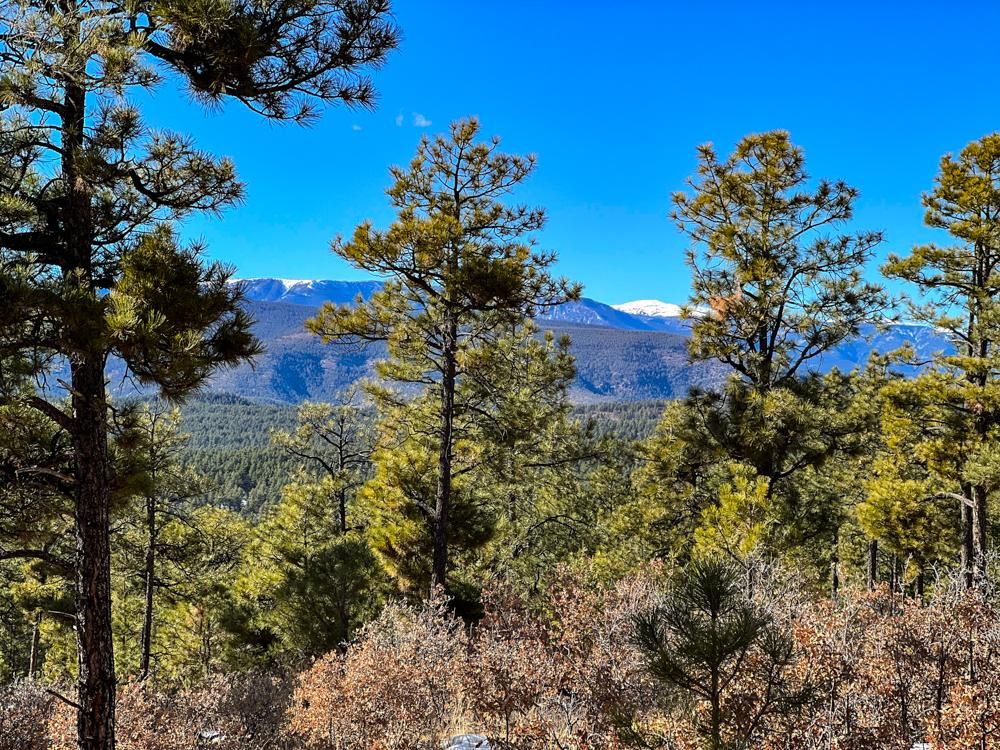 610 acres in Sapello, NM, 87745 LandWatch