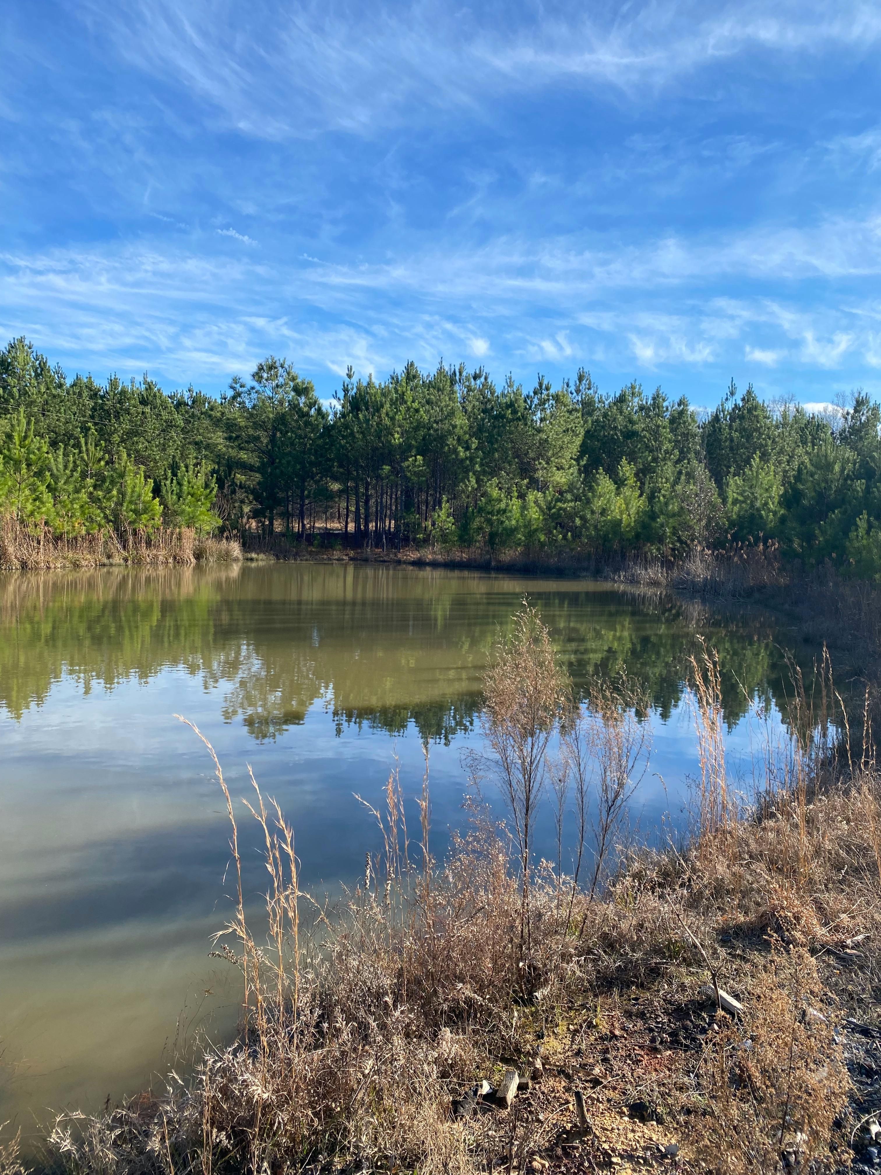 552 Gilchrist Road, Plum Branch, SC 29845 LandWatch
