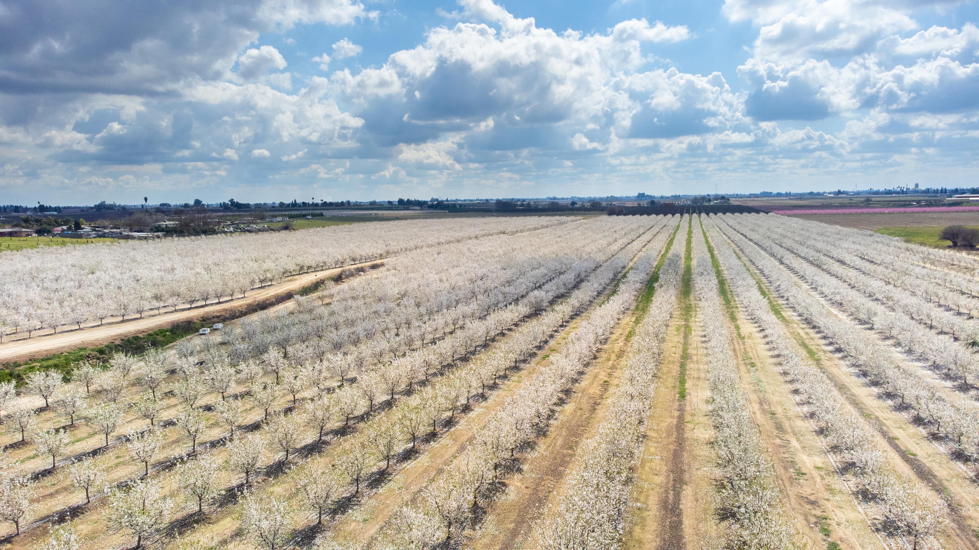 Selma, Fresno County, CA Farms and Ranches for sale Property ID