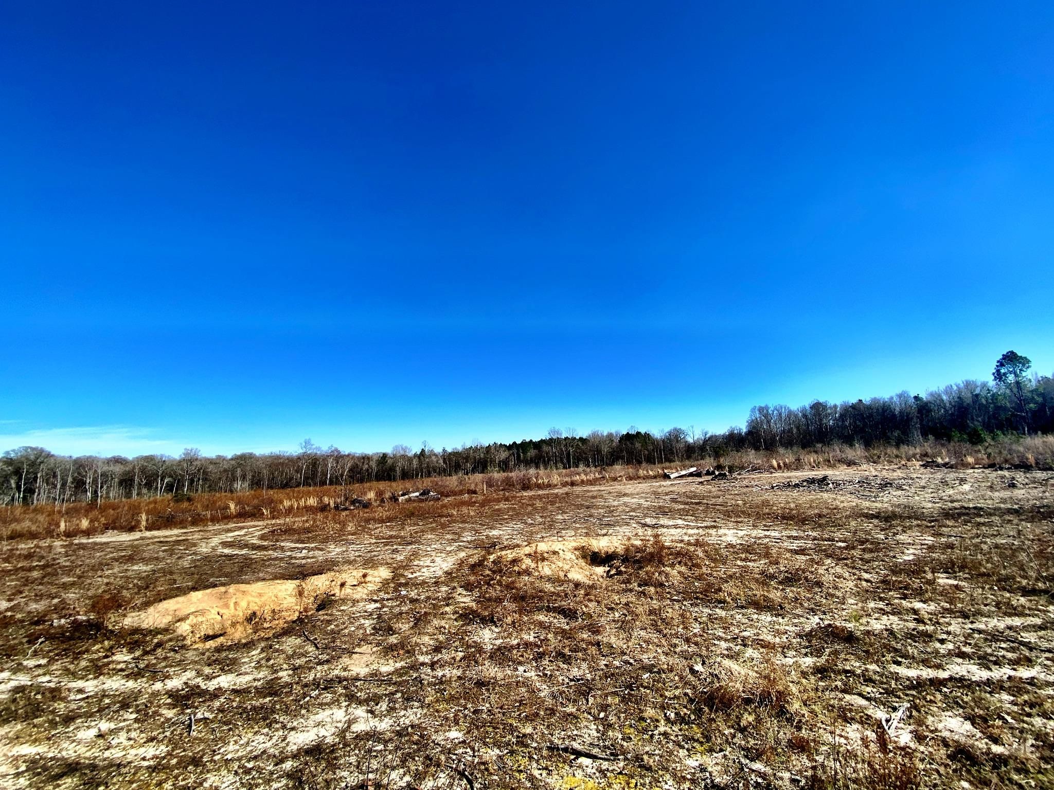 168 acres in Toomsboro, GA, 31090 LandWatch