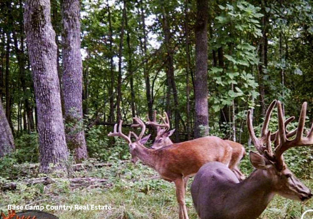 Bunceton, Cooper County, MO Recreational Property, Hunting Property for