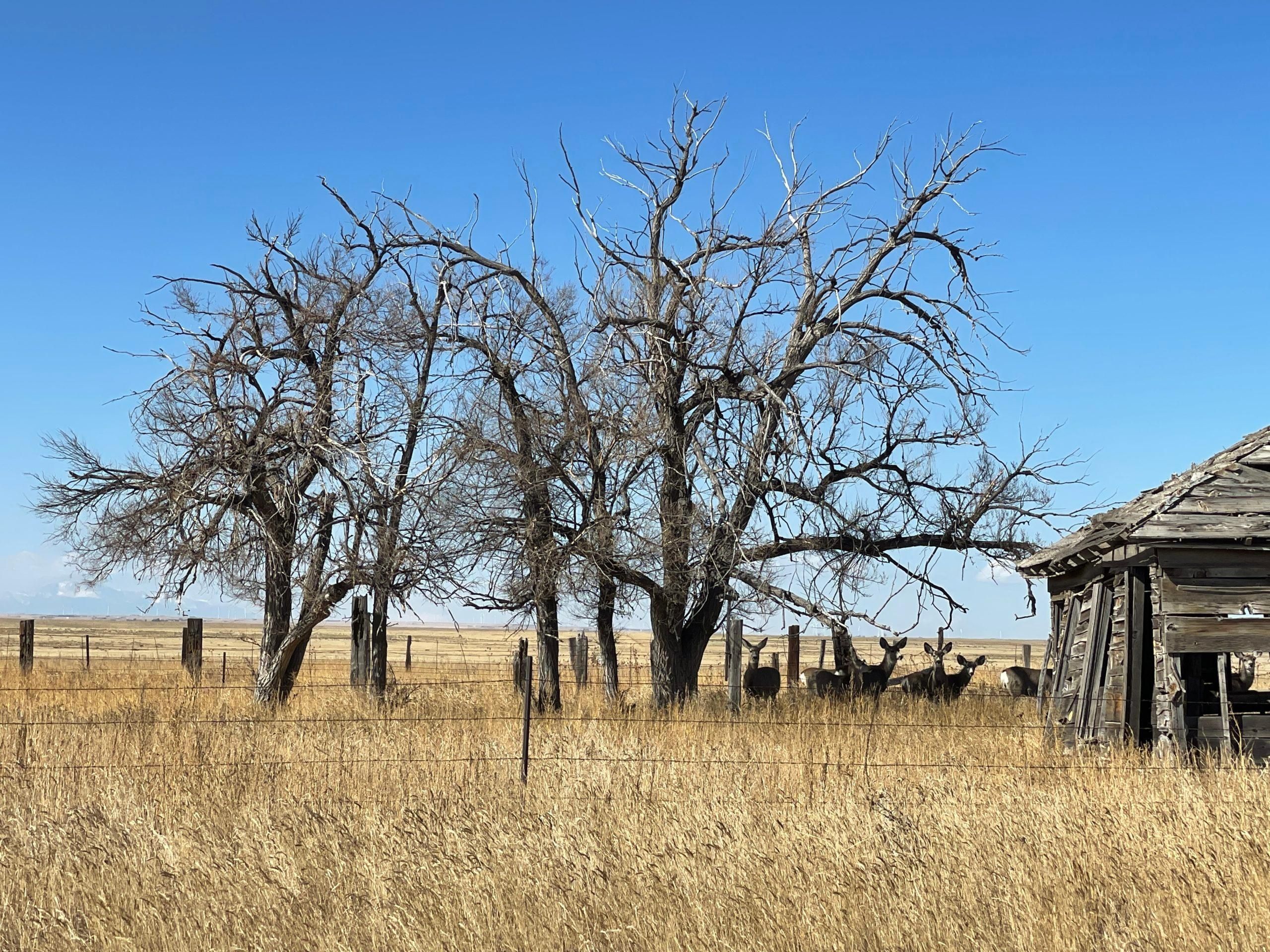 Ramah, Elbert County, CO Farms and Ranches, Recreational Property for