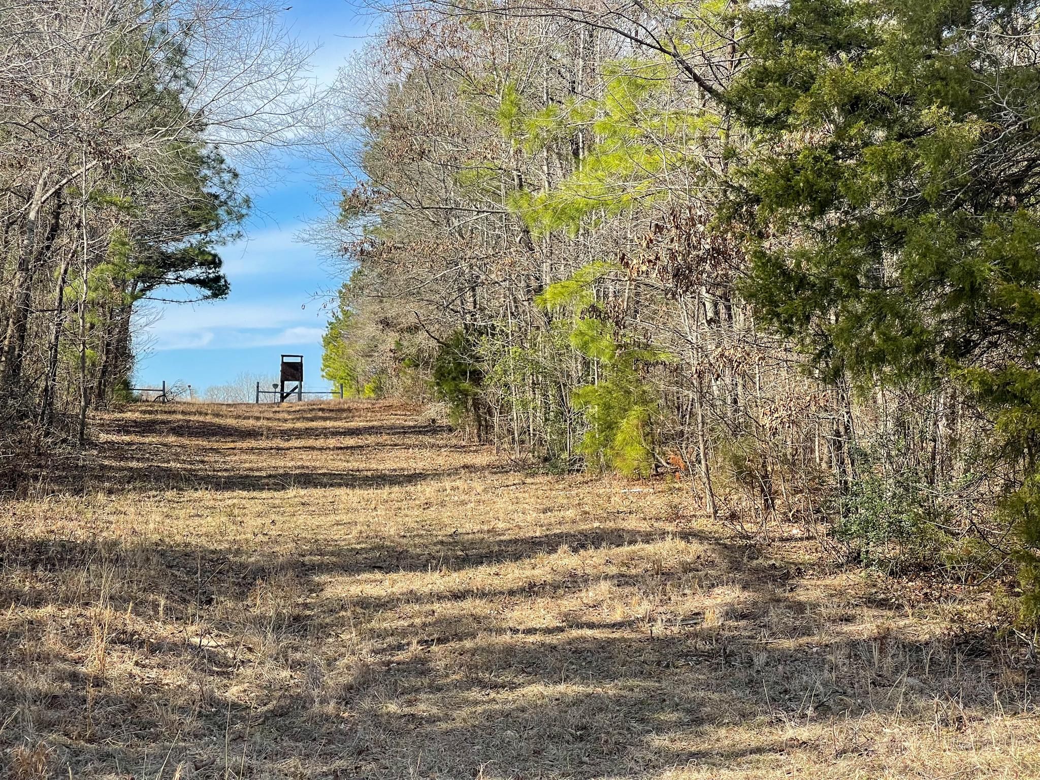 Henderson, Rusk County, TX Recreational Property, Hunting Property for