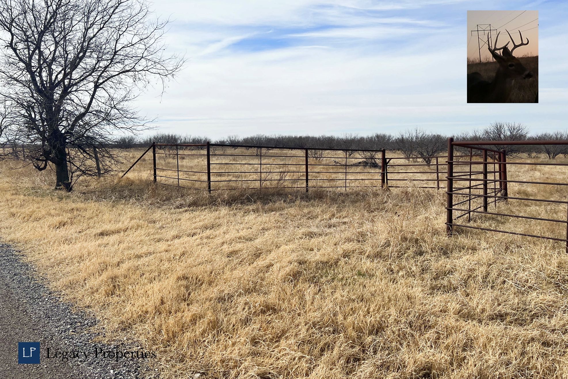 Halsell Rd, Henrietta, TX 76365 LandWatch