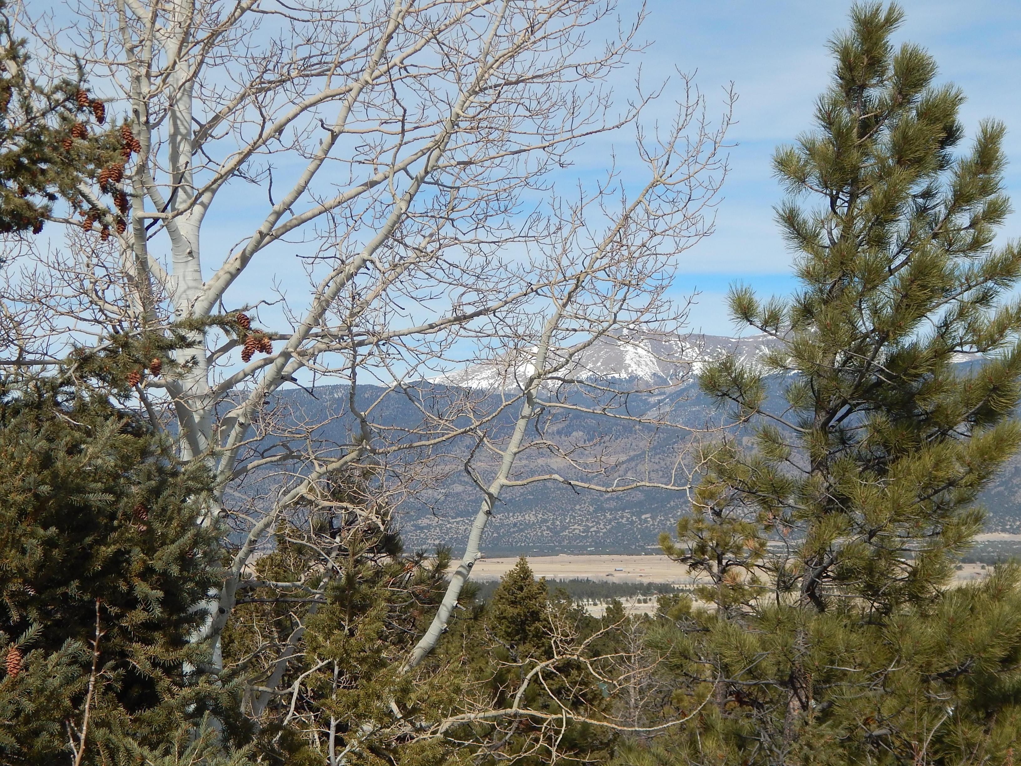 Buena Vista, Chaffee County, CO Homesites for sale Property ID