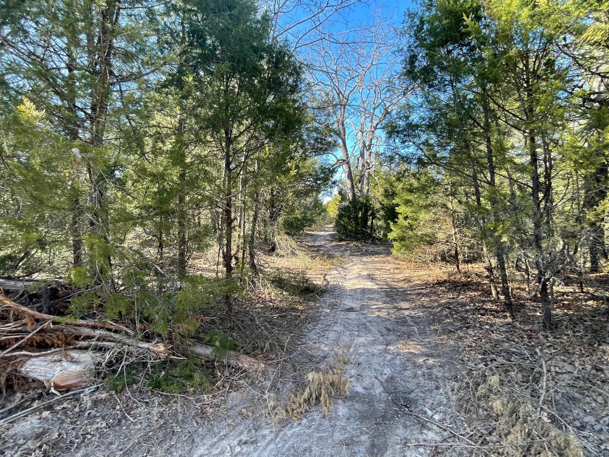 Mexia, Limestone County, TX Timberland Property, Undeveloped Land
