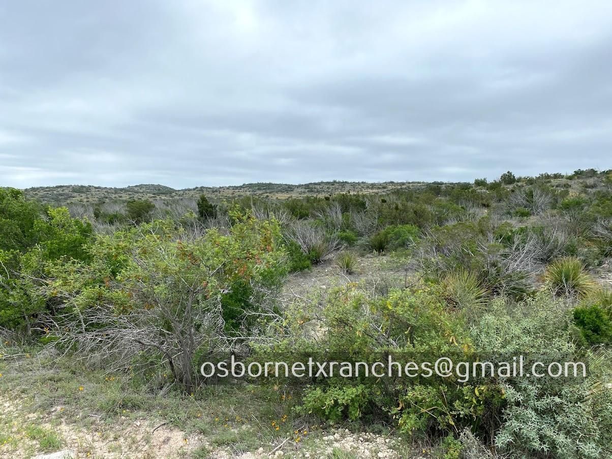 51.82 acres in Juno, TX, 78840 LandWatch